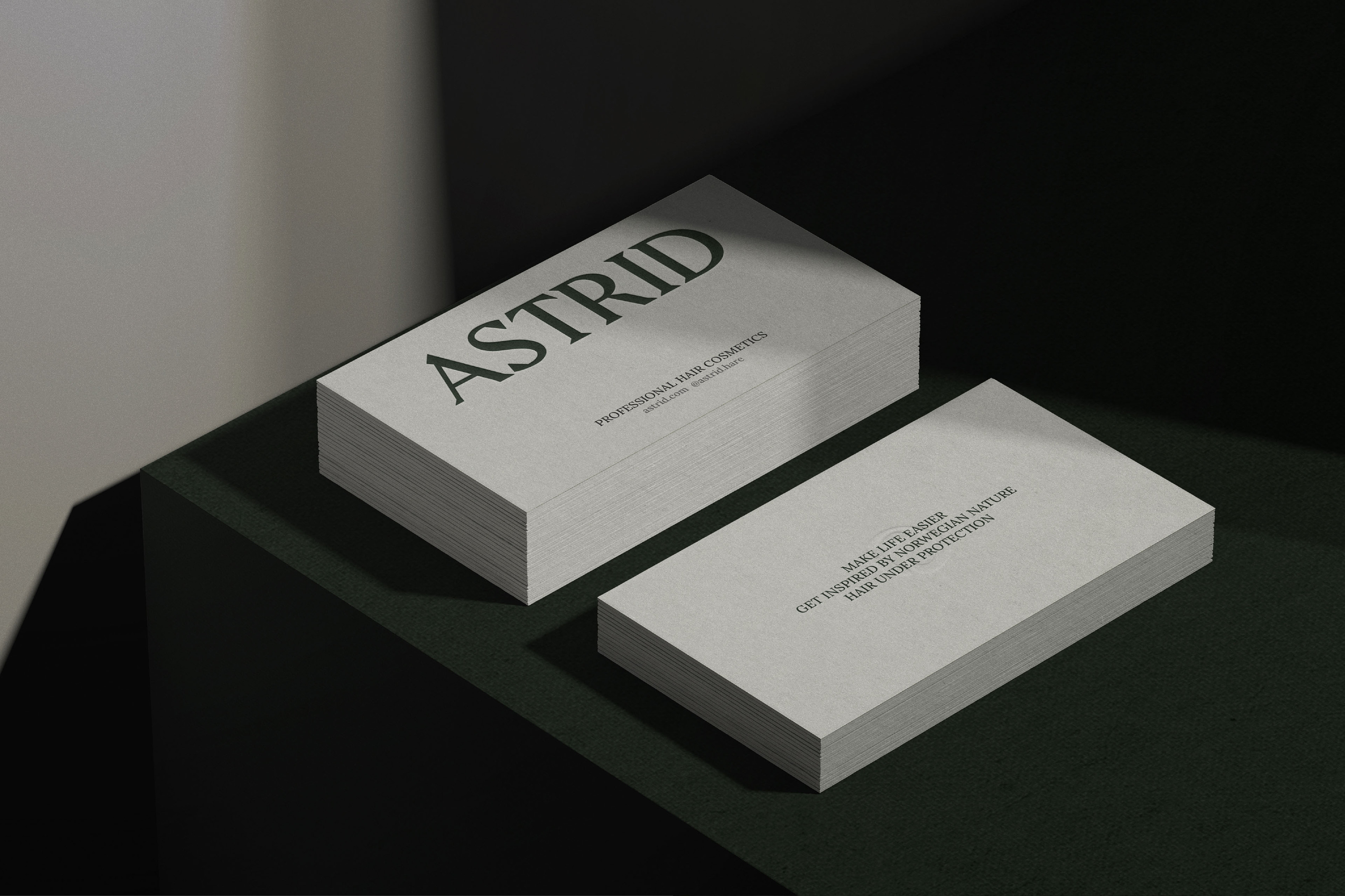 ASTRID HAIR COSMETIC / visual identity — Изображение №2 — Брендинг на Dprofile