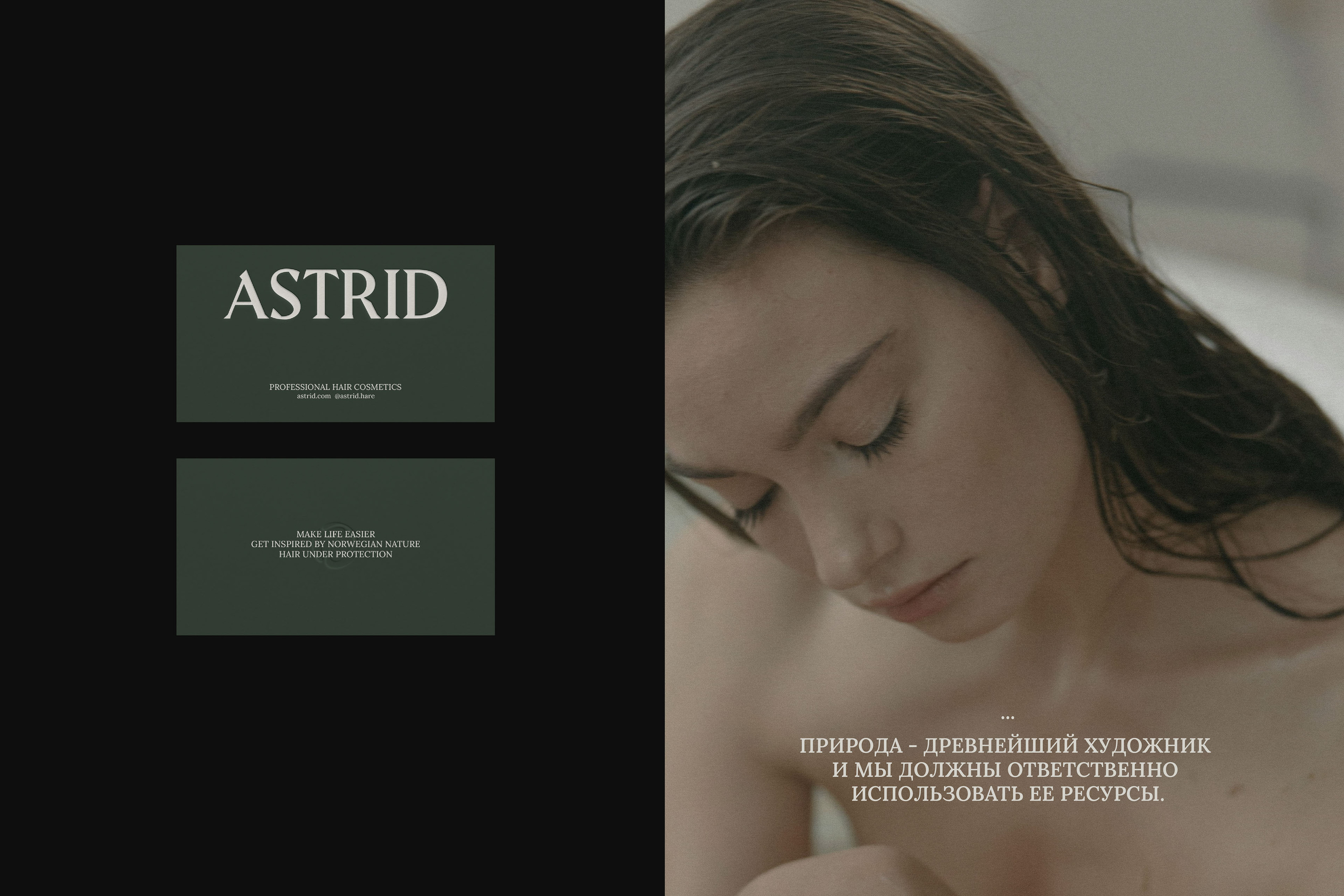 ASTRID HAIR COSMETIC / visual identity — Изображение №12 — Брендинг на Dprofile