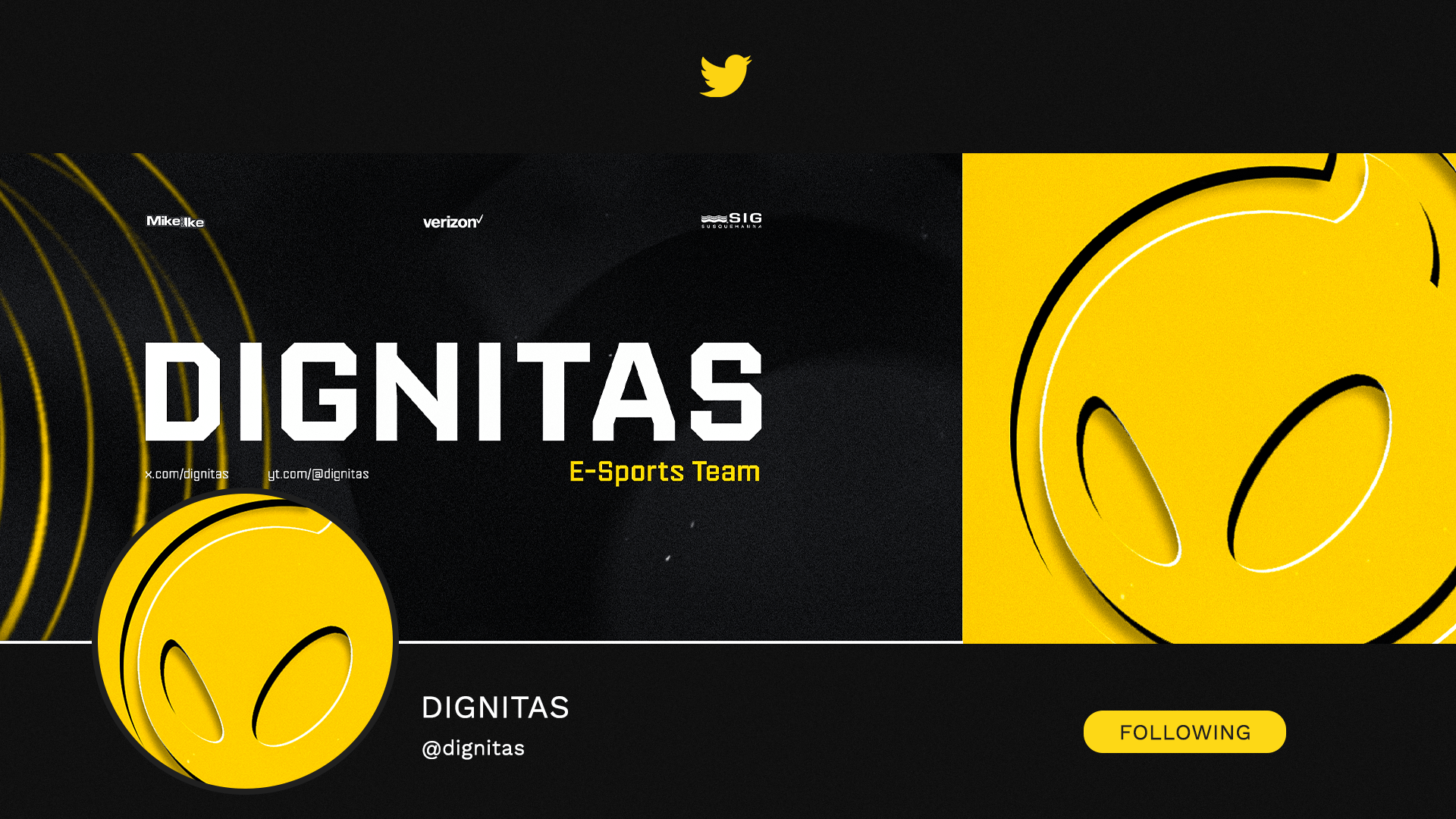 Team Dignitas Project — Изображение №19 — Графика, Анимация на Dprofile