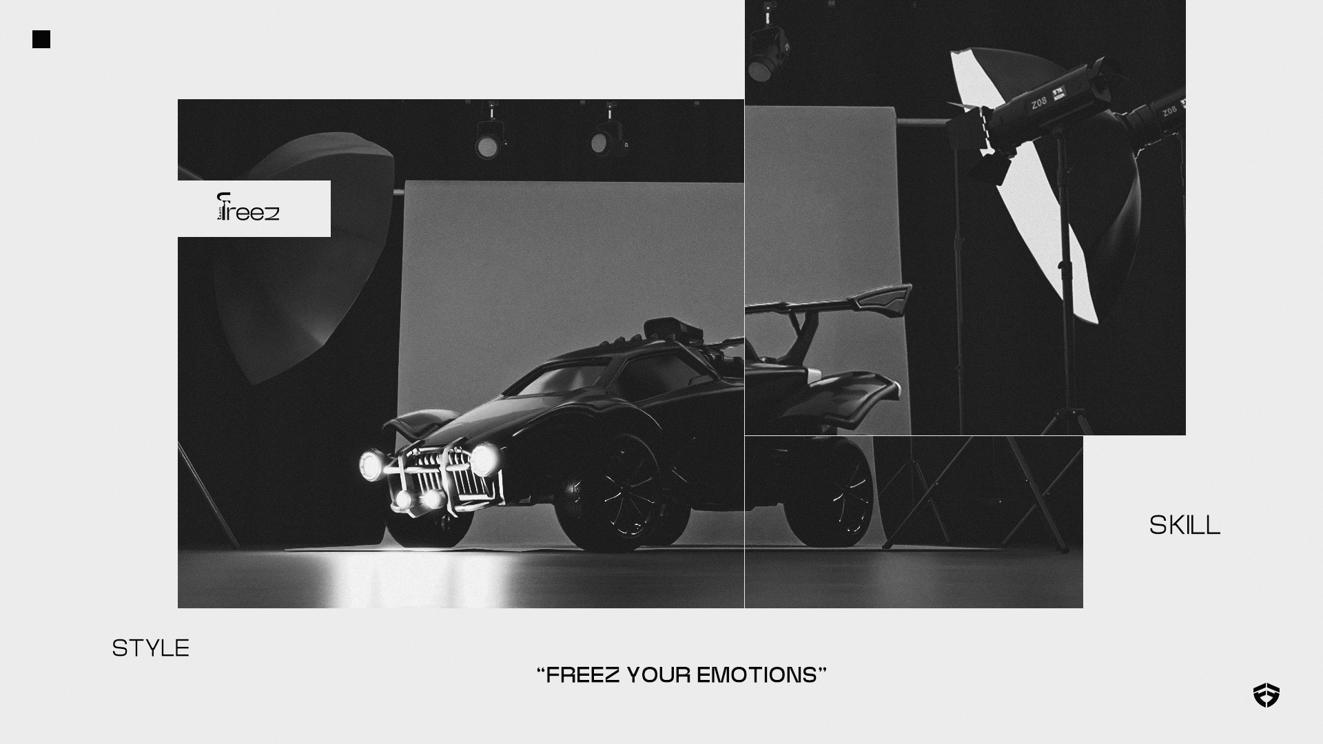 Team FreeZ Art Direction — Изображение №13 — Брендинг, Графика на Dprofile
