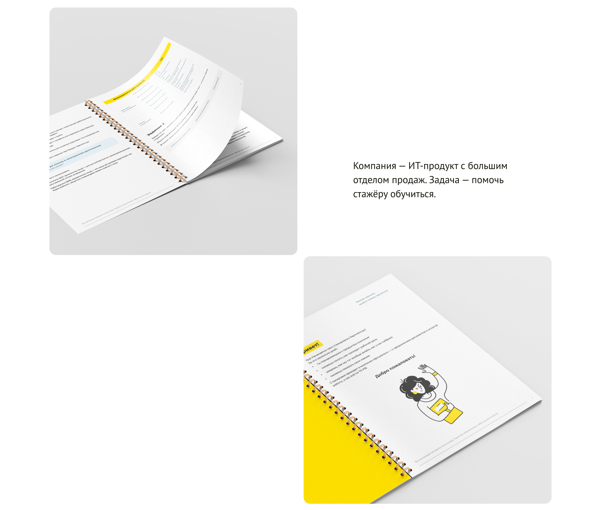 Тетрадь стажёра Зарплаты.ру — Изображение №4 — Брендинг, Графика на Dprofile