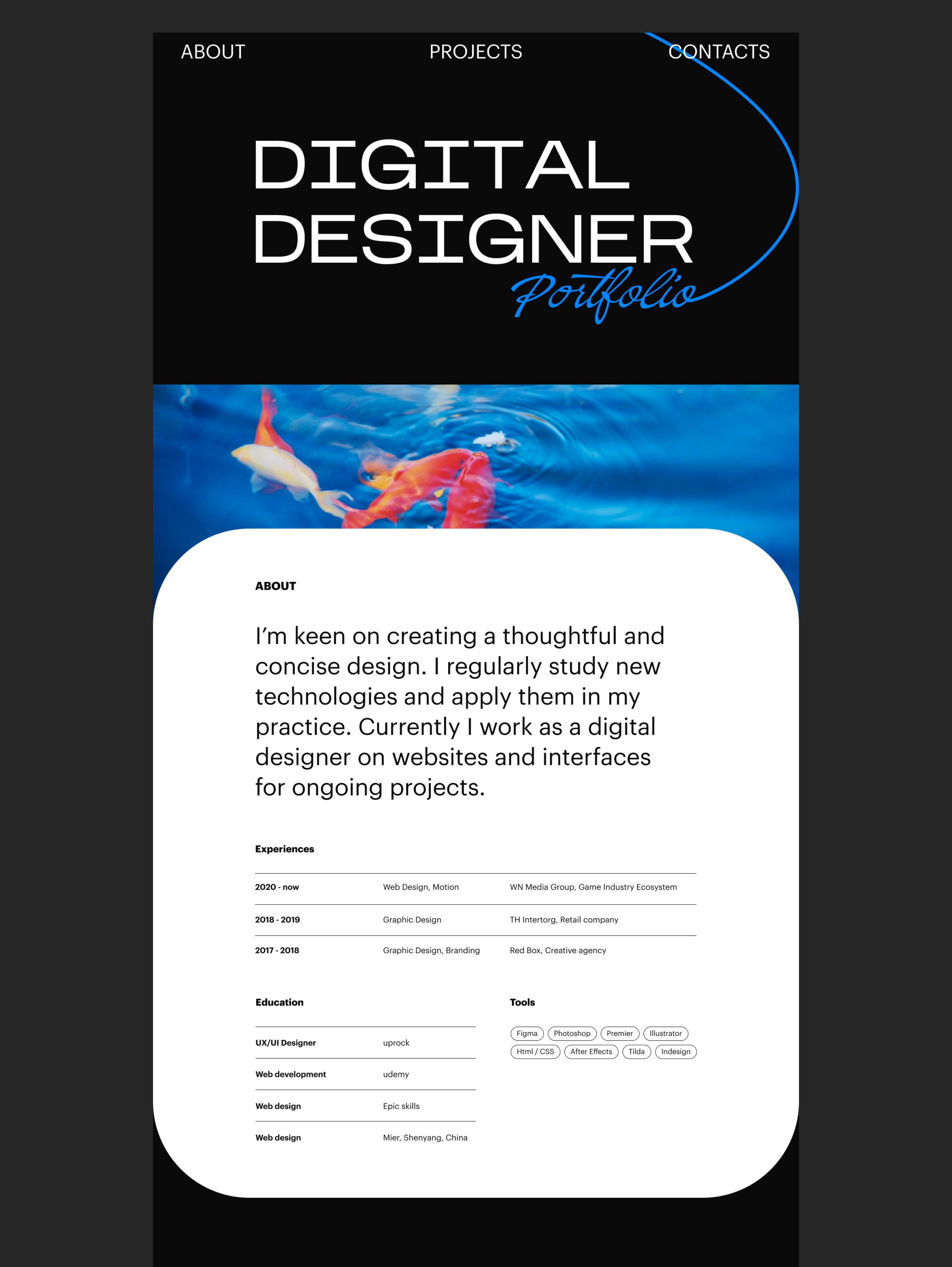 Portfolio Website — Изображение №1 — Интерфейсы на Dprofile