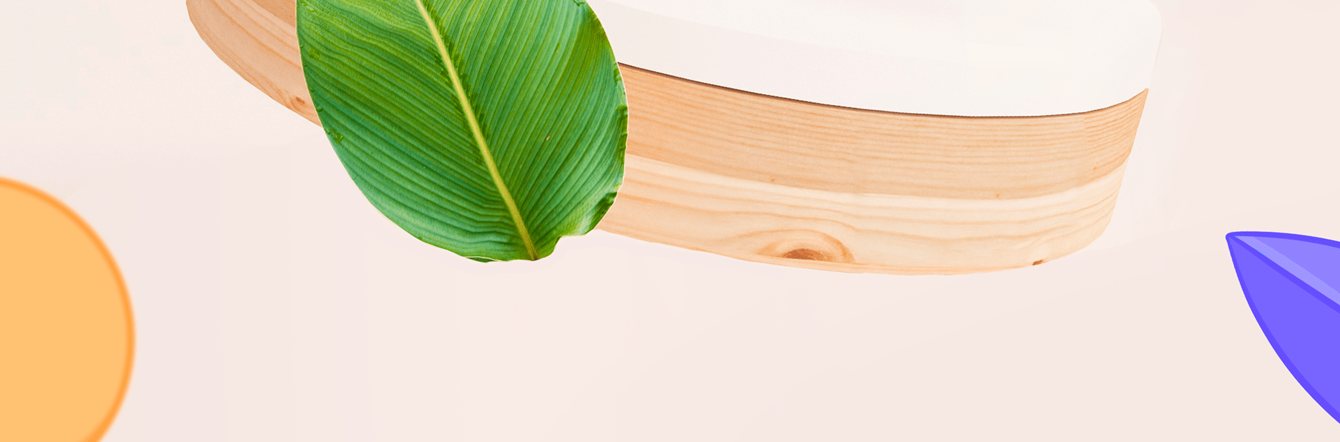 JUST JUICE | Branding & Packaging Design — Изображение №11 — Иллюстрация, Графика на Dprofile