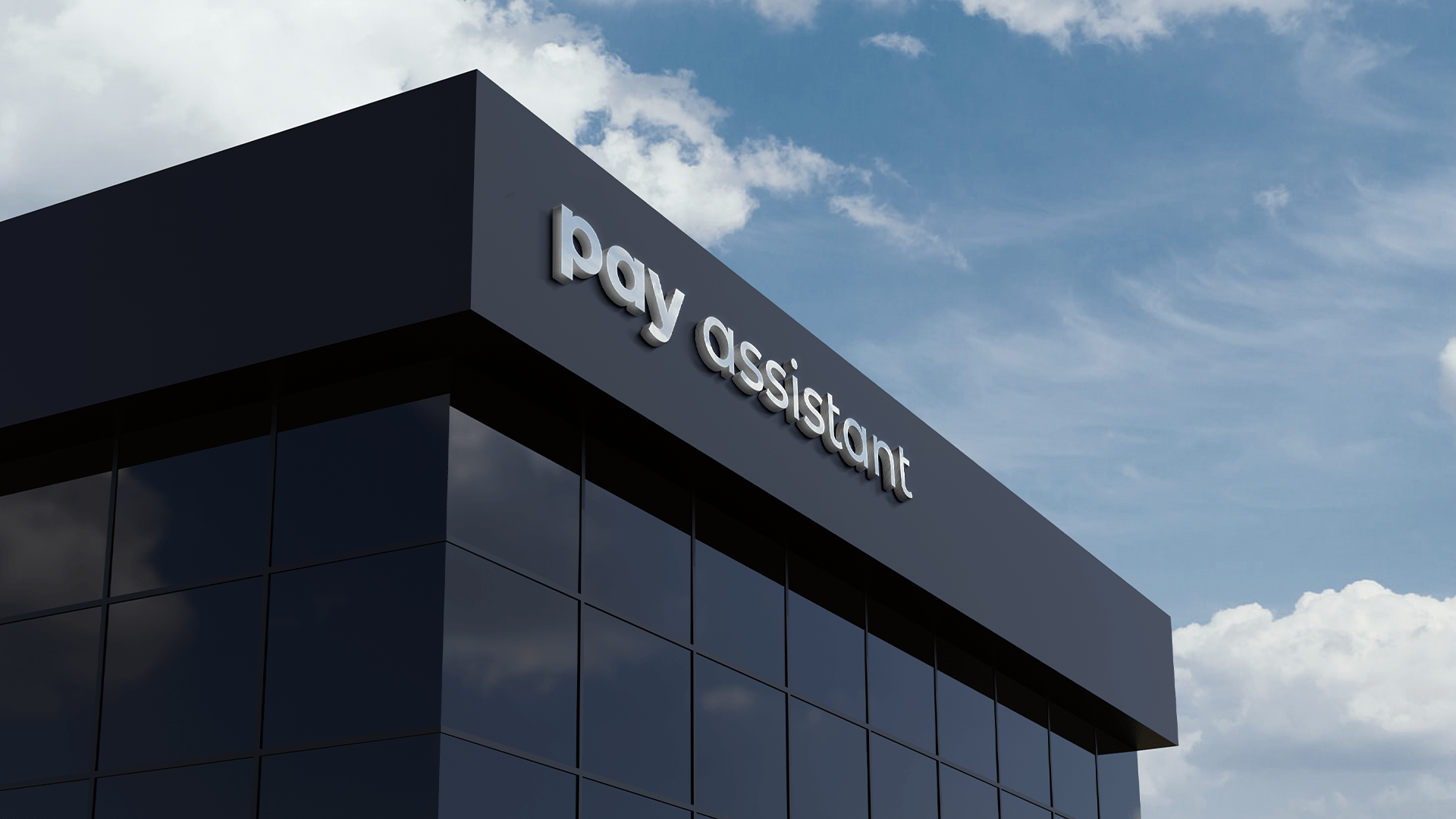 Pay assistant — Изображение №21 — Брендинг, Графика на Dprofile