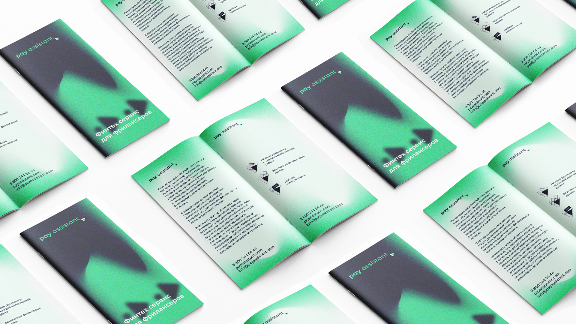 Pay assistant — Изображение №13 — Брендинг, Графика на Dprofile