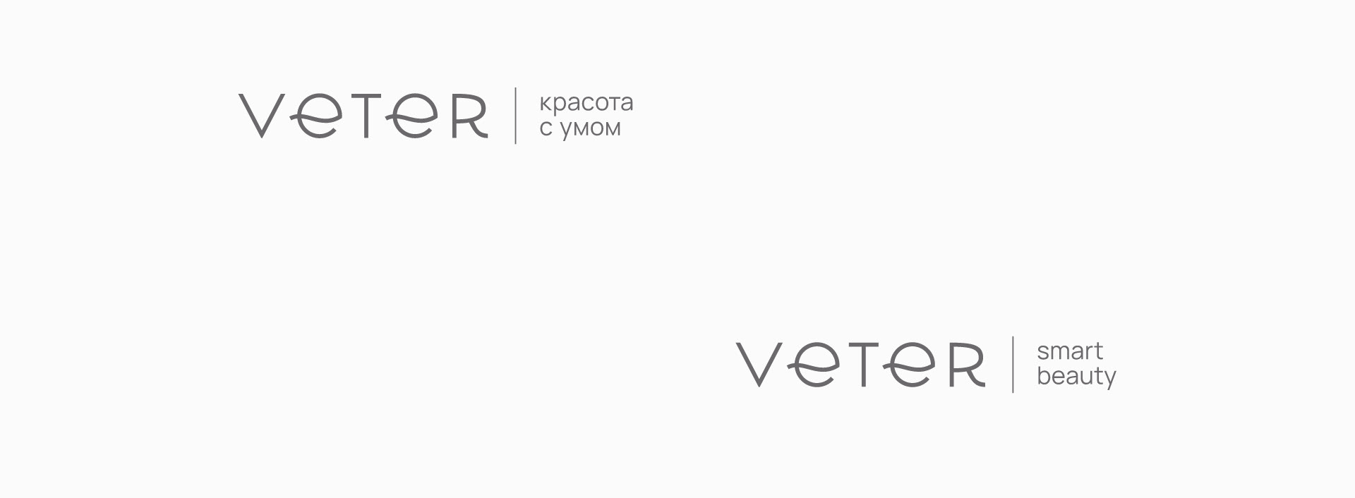Veter — Изображение №4 — Брендинг, Графика на Dprofile
