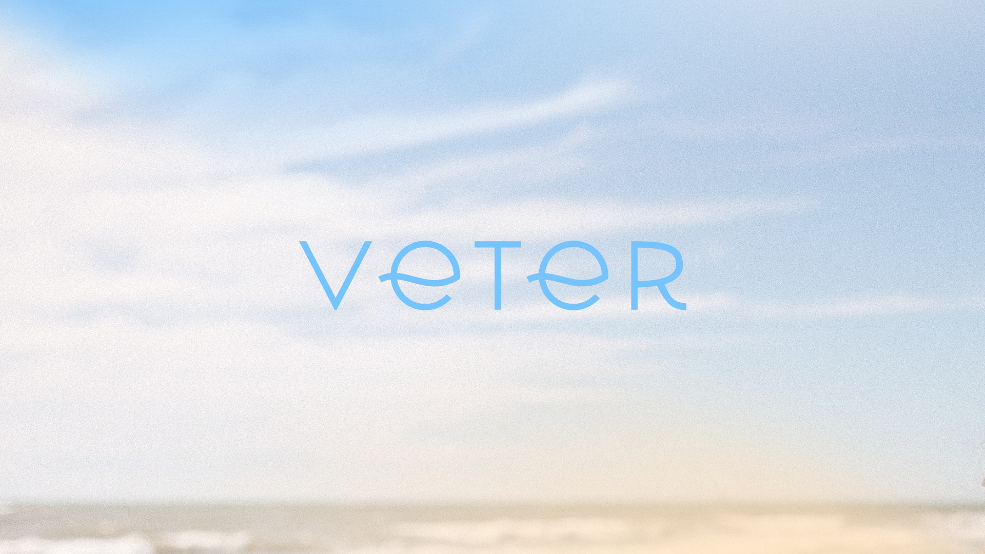 Veter — Изображение №1 — Брендинг, Графика на Dprofile