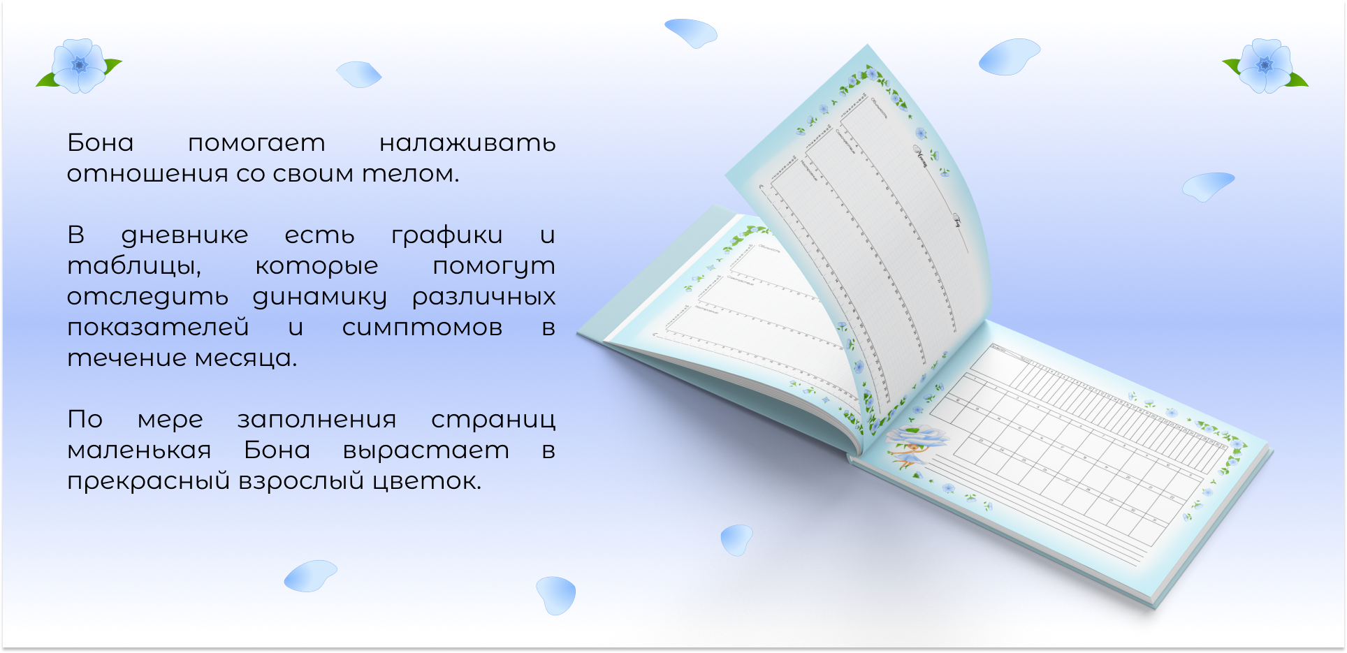 Серия дневников для женщин — Изображение №7 — Иллюстрация, Графика на Dprofile