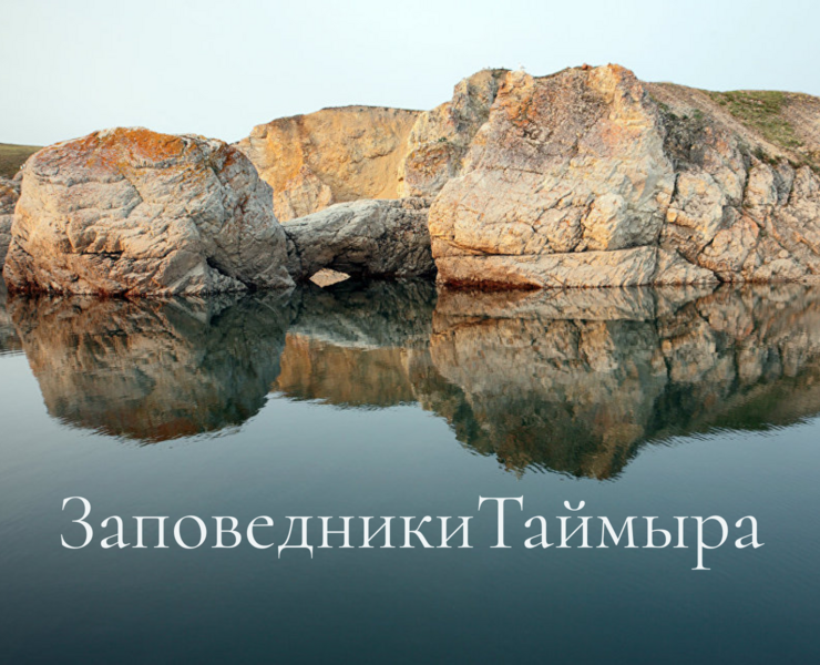 Concept design of the reserve's website на Dprofile
