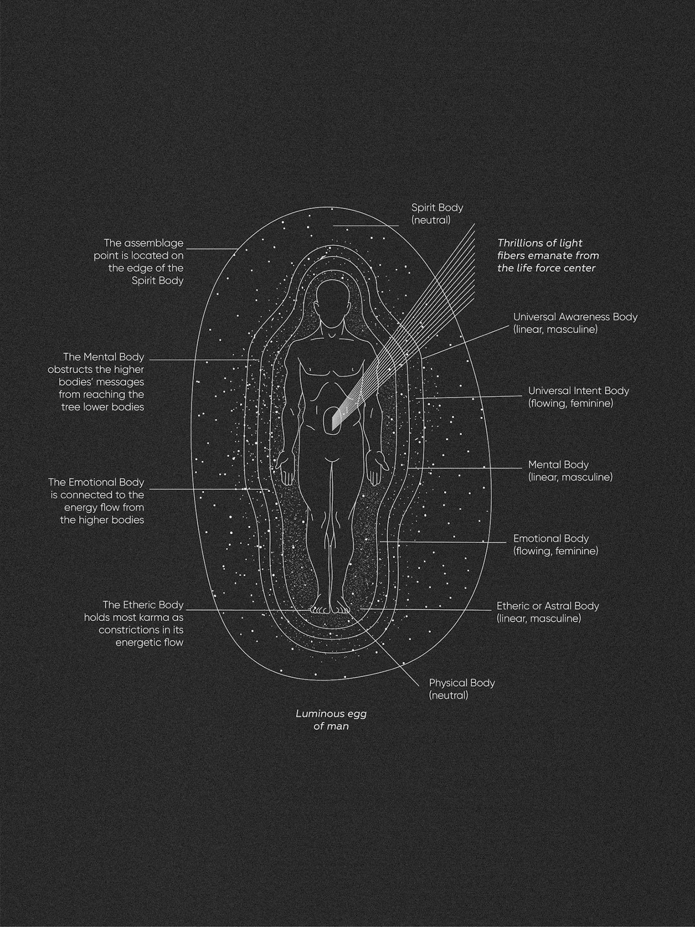 Паттерны для бренда одежды «Я.Есть» — Изображение №7 — Брендинг на Dprofile