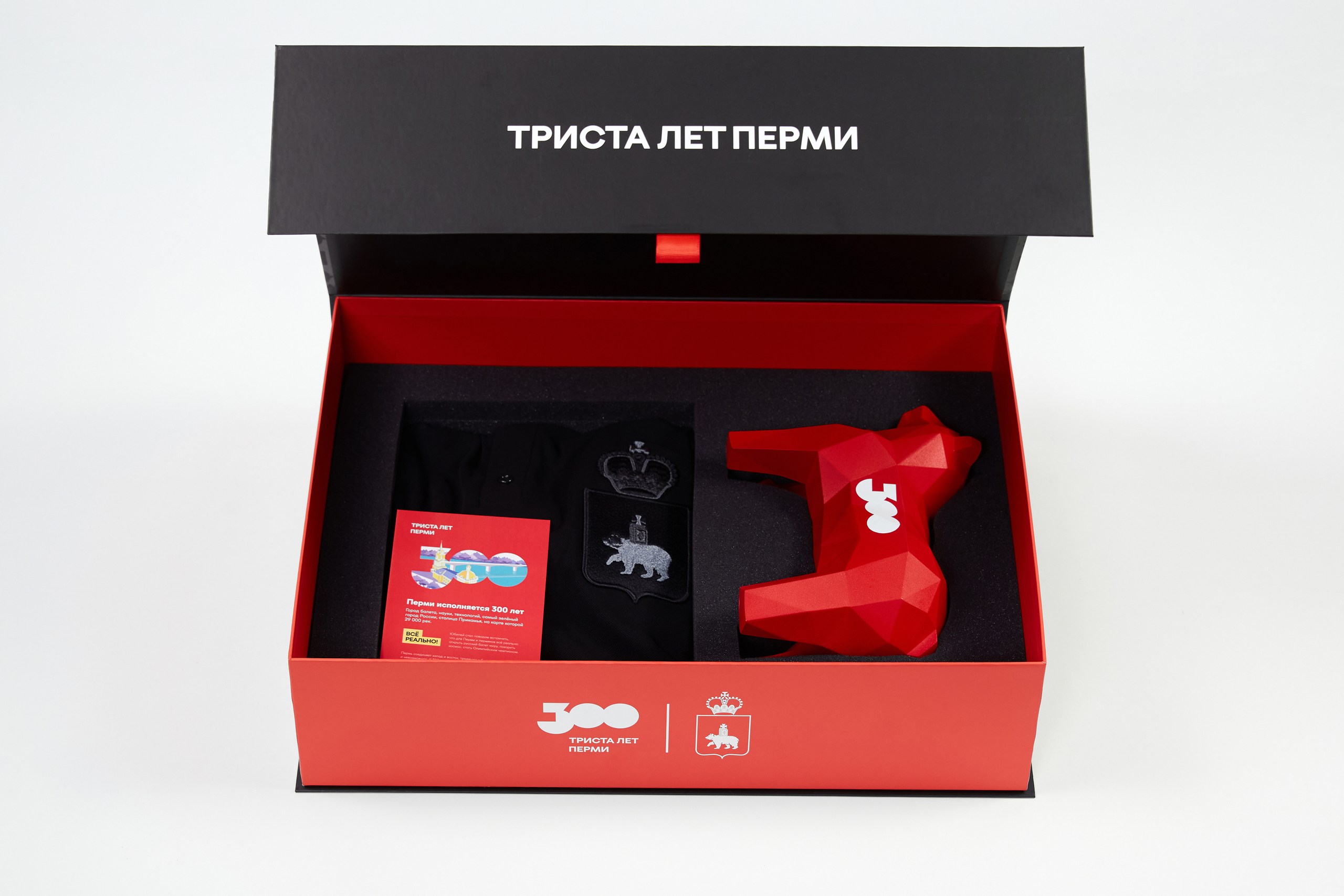Разработка мерча для проекта «ТРИСТА ЛЕТ ПЕРМИ» — Изображение №11 — Брендинг на Dprofile