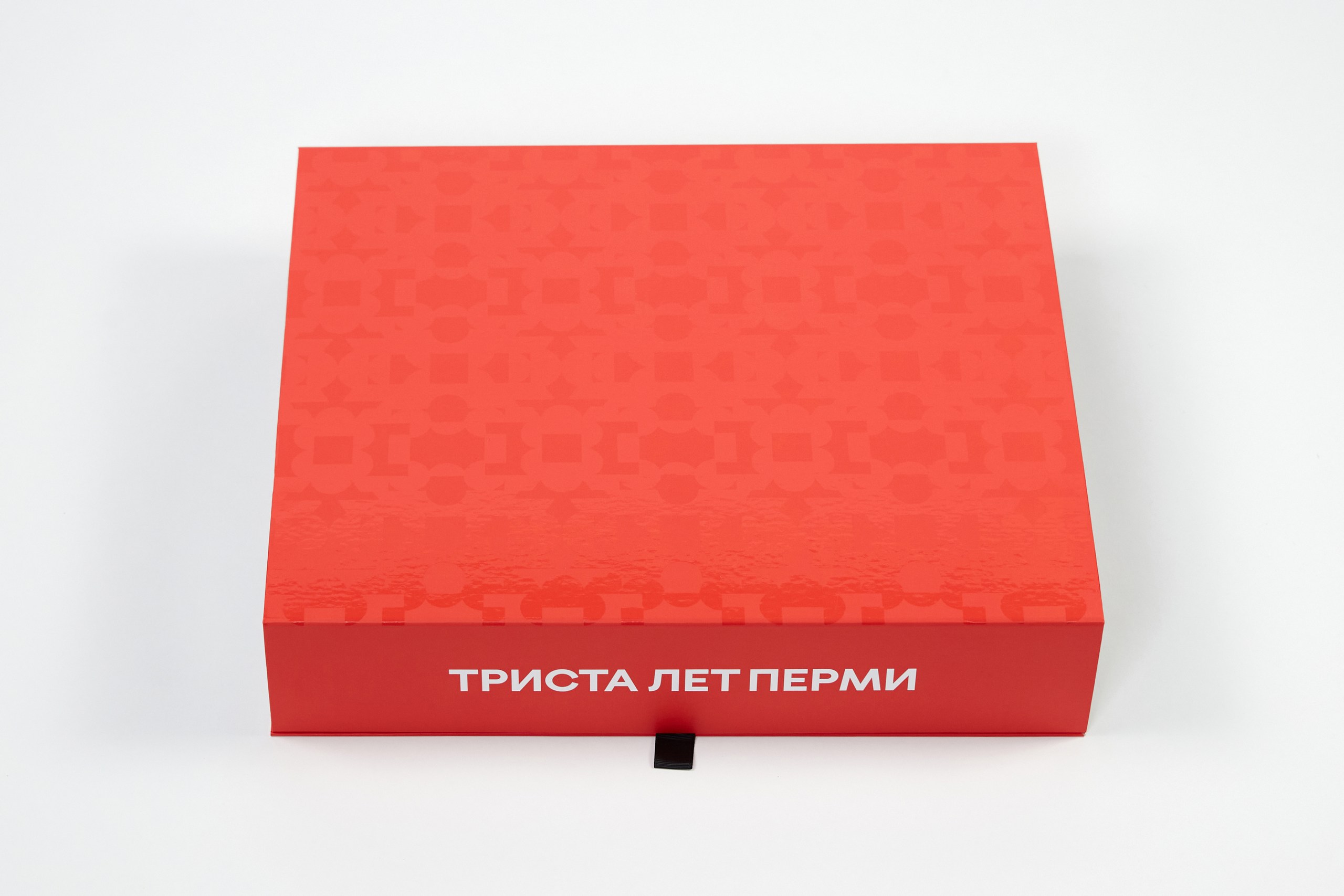 Разработка мерча для проекта «ТРИСТА ЛЕТ ПЕРМИ» — Изображение №5 — Брендинг на Dprofile