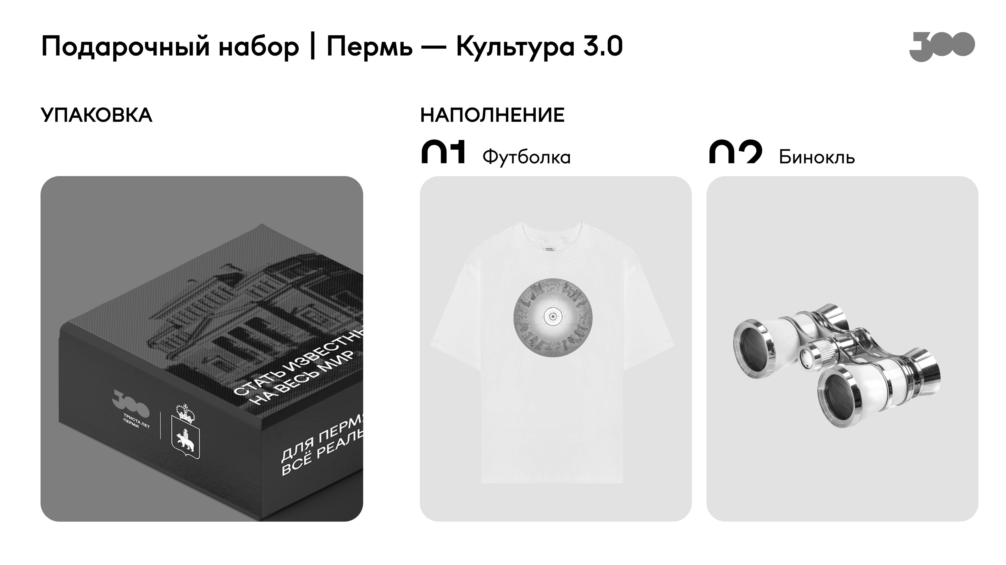 Разработка мерча для проекта «ТРИСТА ЛЕТ ПЕРМИ» — Изображение №34 — Брендинг на Dprofile