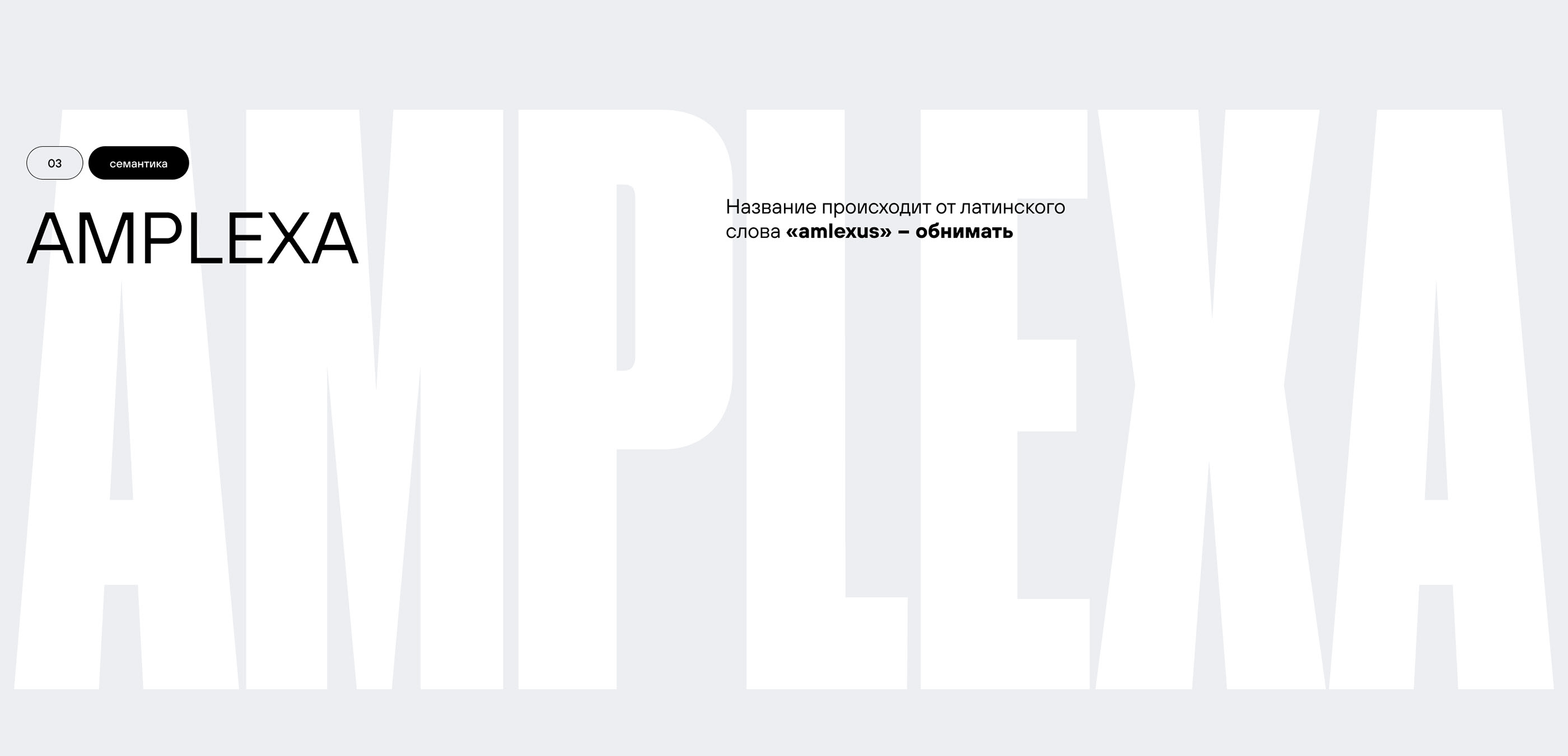 Amplexa / landing page — Изображение №3 — Интерфейсы на Dprofile