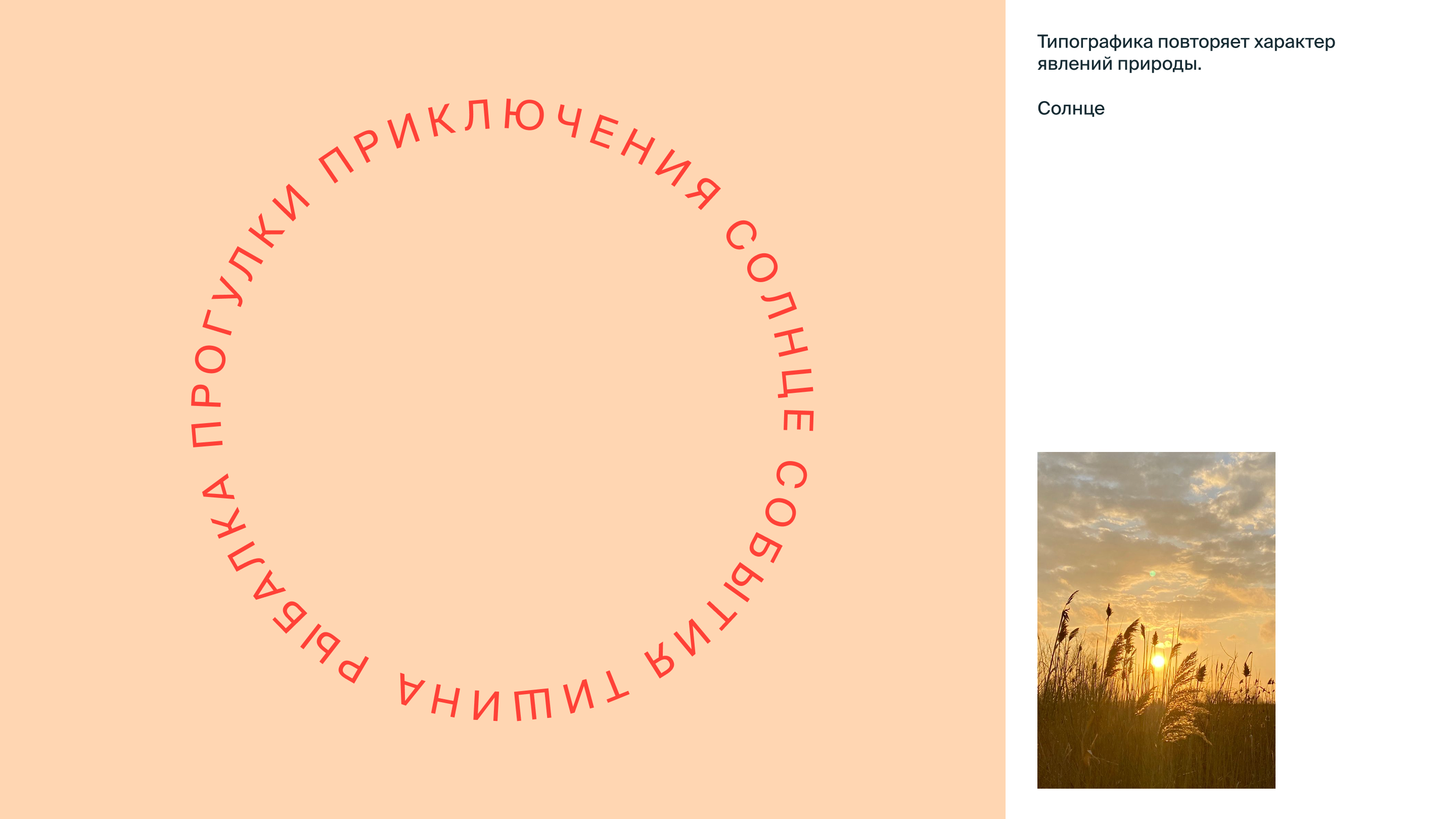 Першино — это база! — Изображение №12 — Брендинг, Графика на Dprofile
