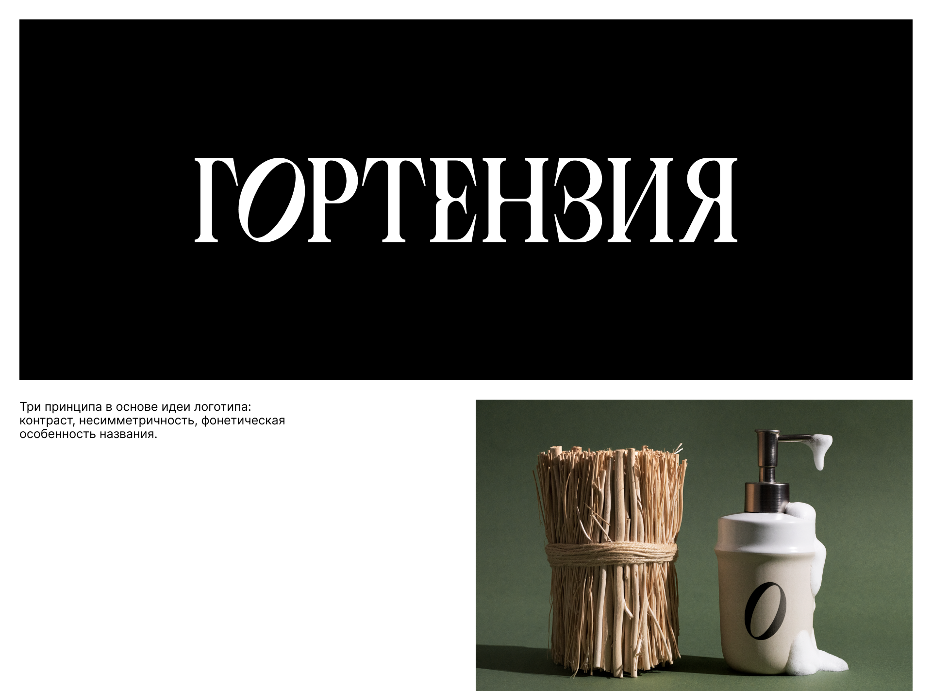 Гортензия — Изображение №3 — Брендинг, Иллюстрация на Dprofile