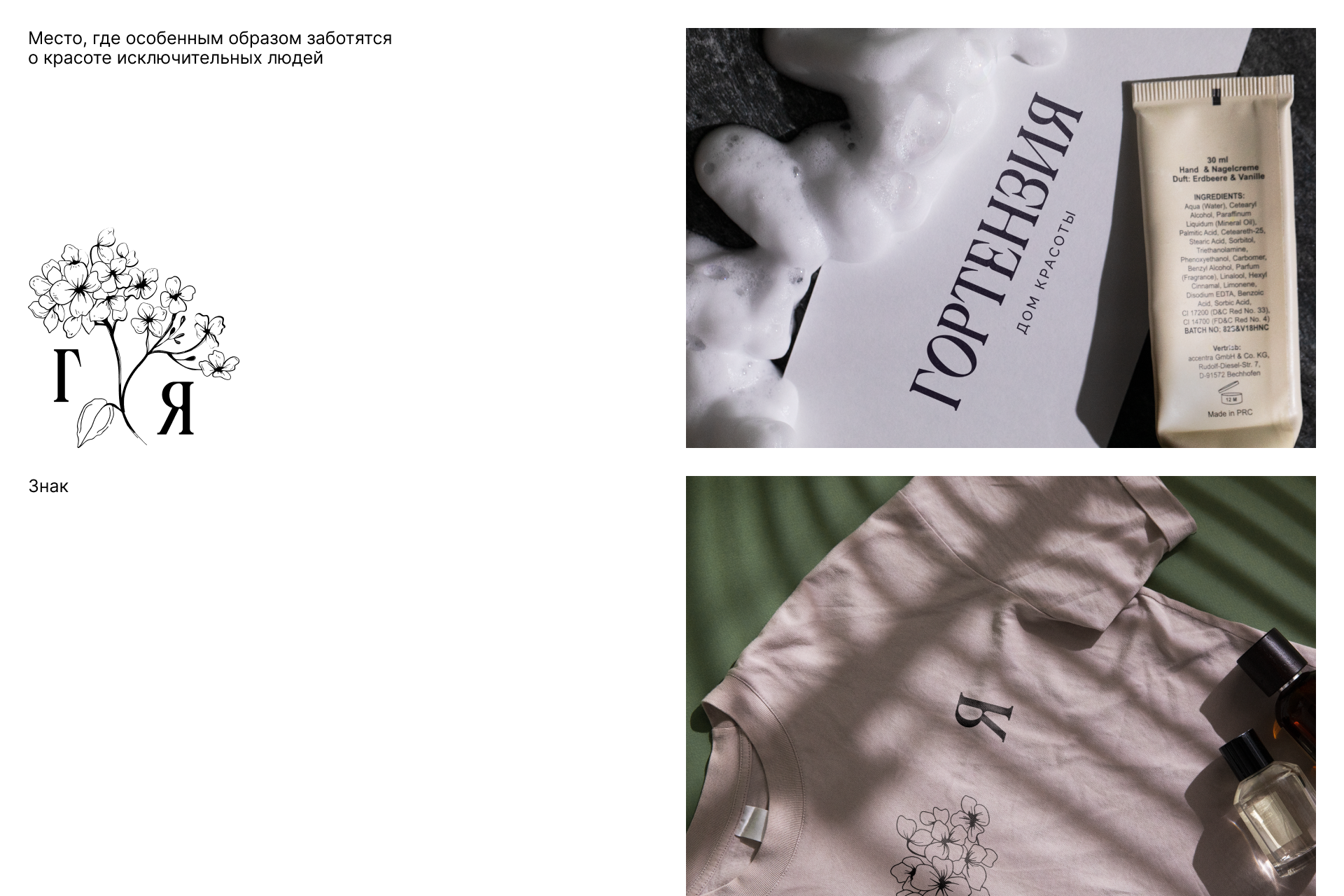 Гортензия — Изображение №2 — Брендинг, Иллюстрация на Dprofile