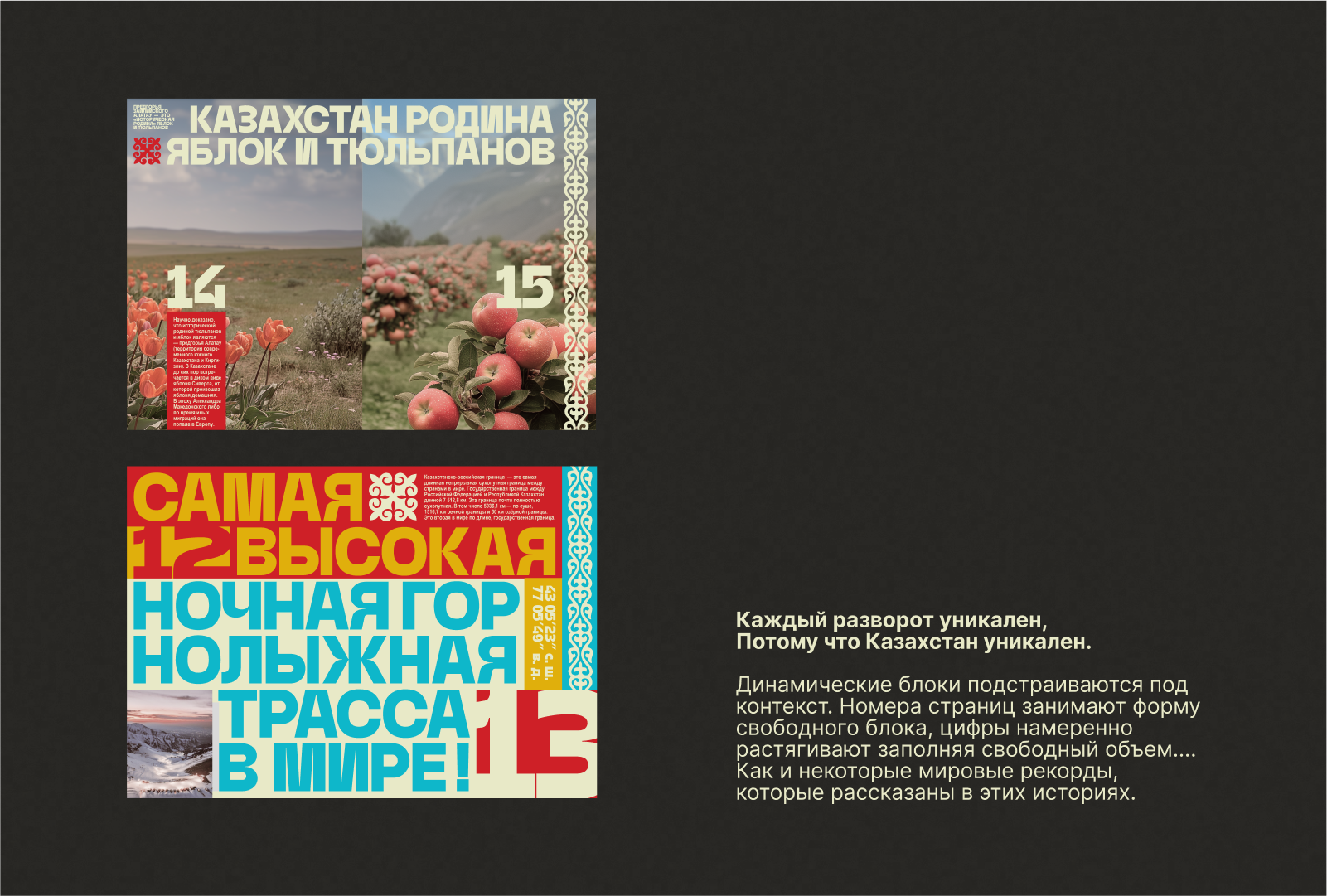 Зин о Казахстане — Изображение №3 — Брендинг, Графика на Dprofile