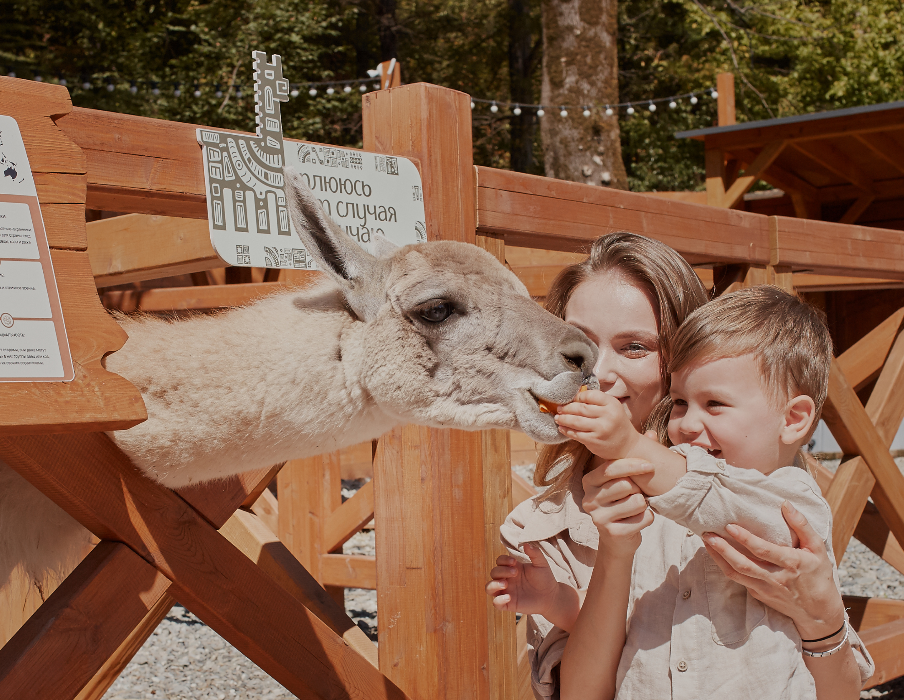 АЛЬПАКА ПАРК — Изображение №6 — Брендинг, Графика на Dprofile