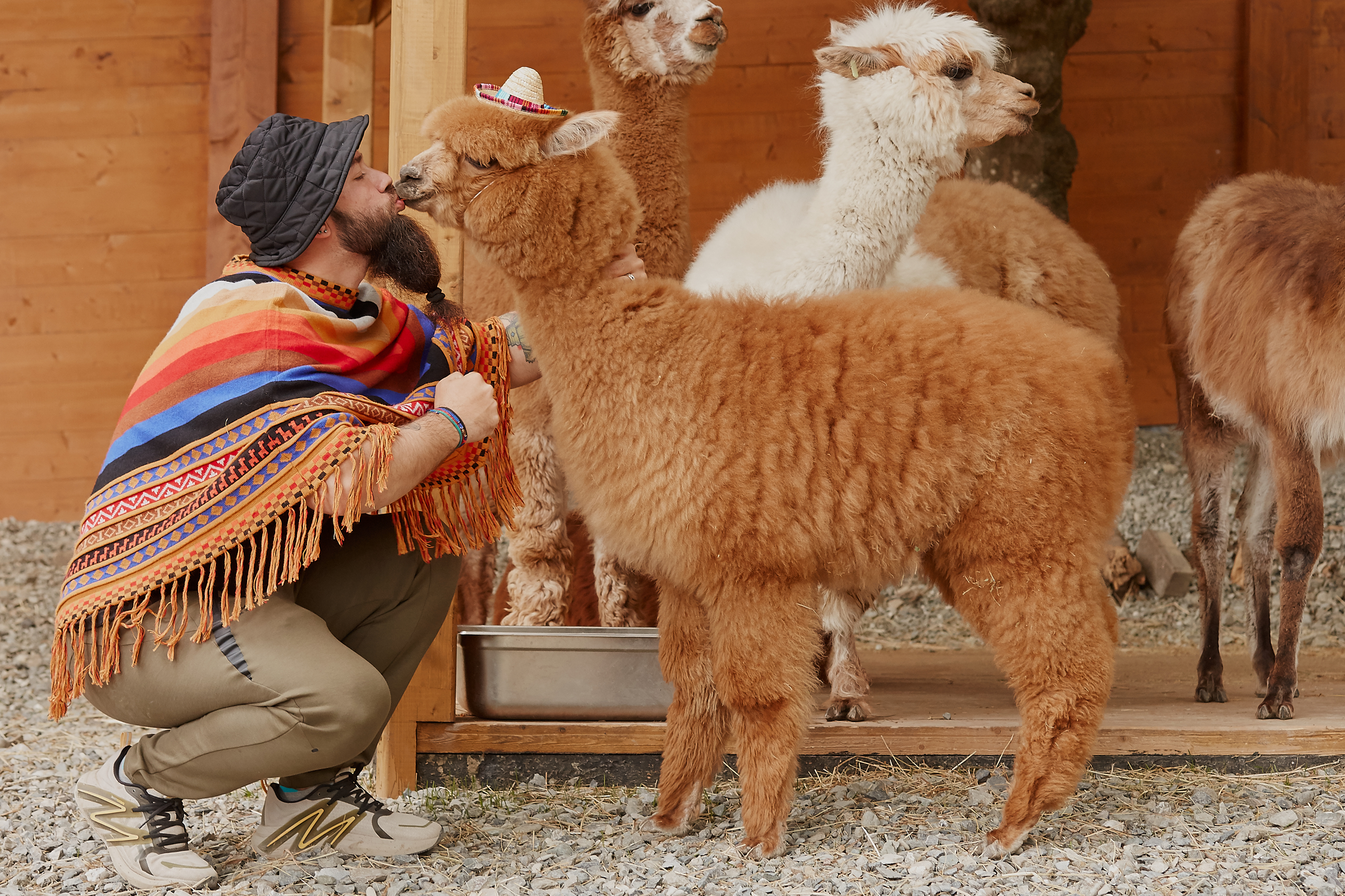 АЛЬПАКА ПАРК — Изображение №7 — Брендинг, Графика на Dprofile