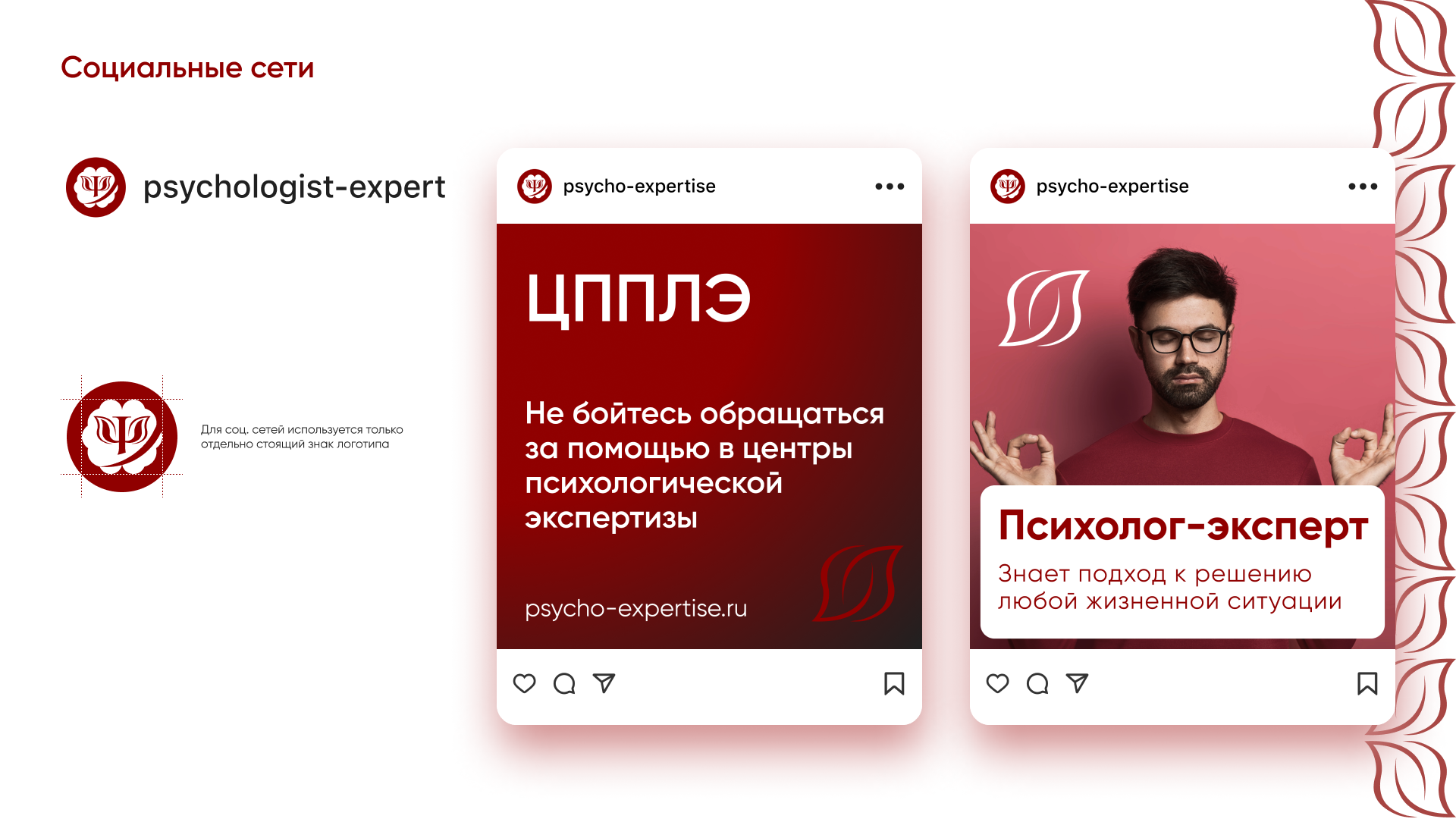 Brandbook для ЦППЛЭ — Изображение №11 — Брендинг на Dprofile