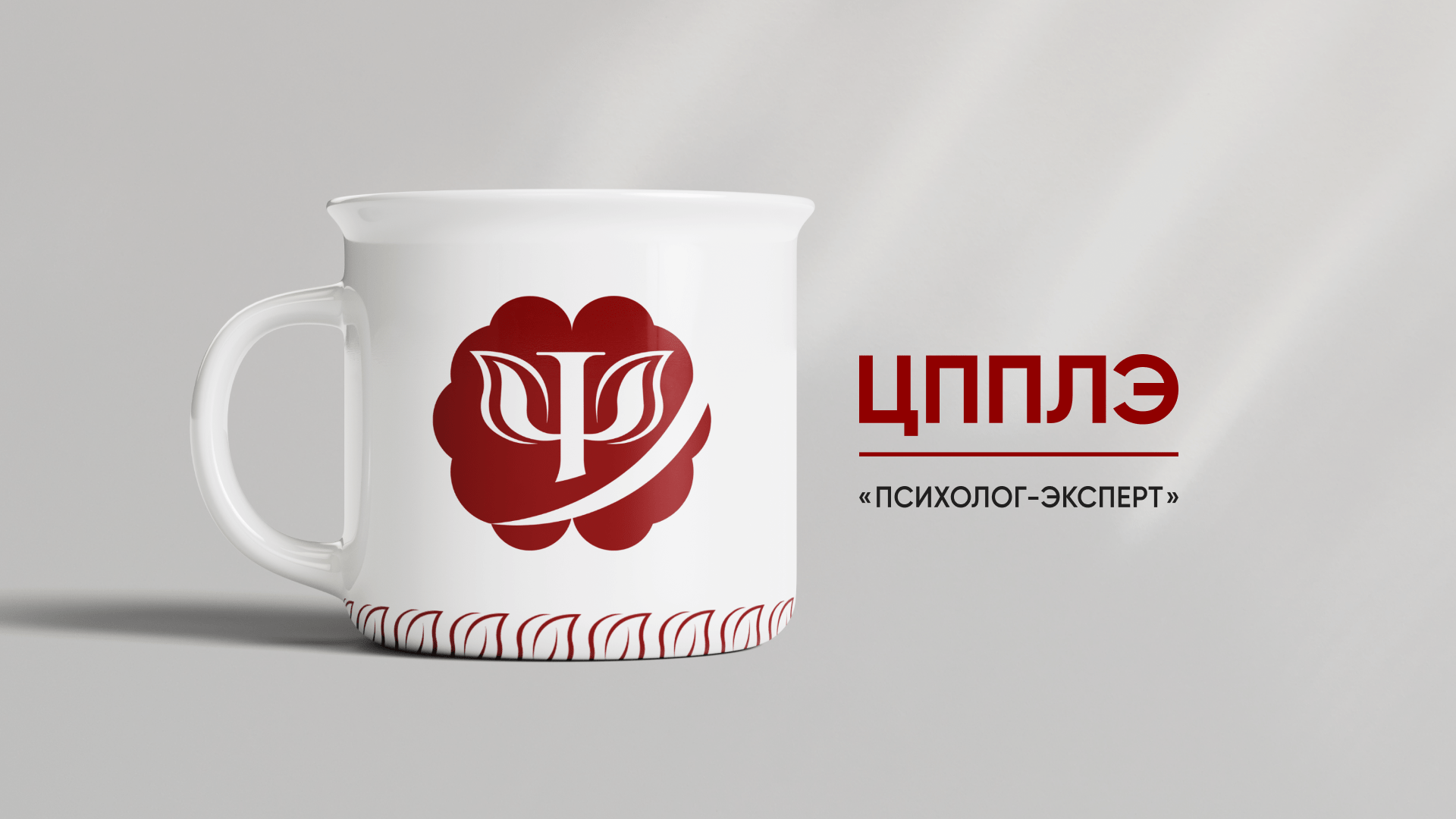 Brandbook для ЦППЛЭ — Изображение №3 — Брендинг на Dprofile