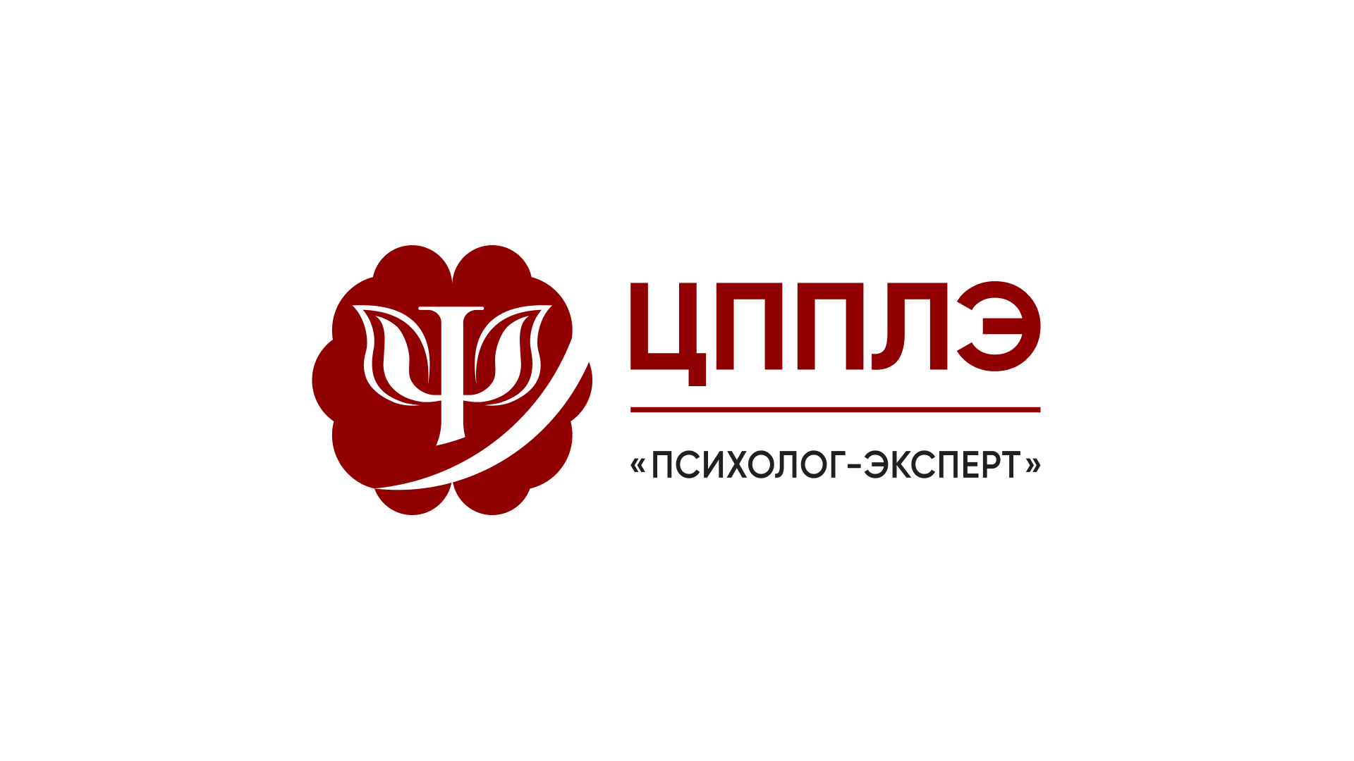 Brandbook для ЦППЛЭ — Изображение №2 — Брендинг на Dprofile