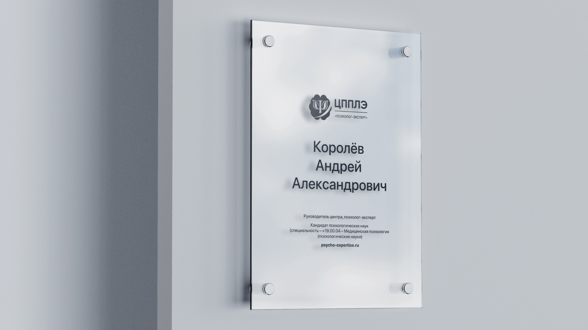 Brandbook для ЦППЛЭ — Изображение №13 — Брендинг на Dprofile