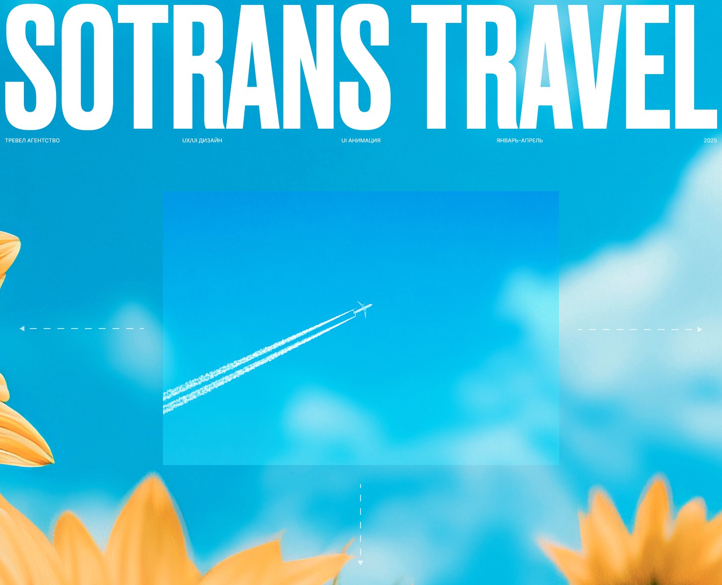 Sotrans Travel™ — Интерфейсы, Анимация на Dprofile