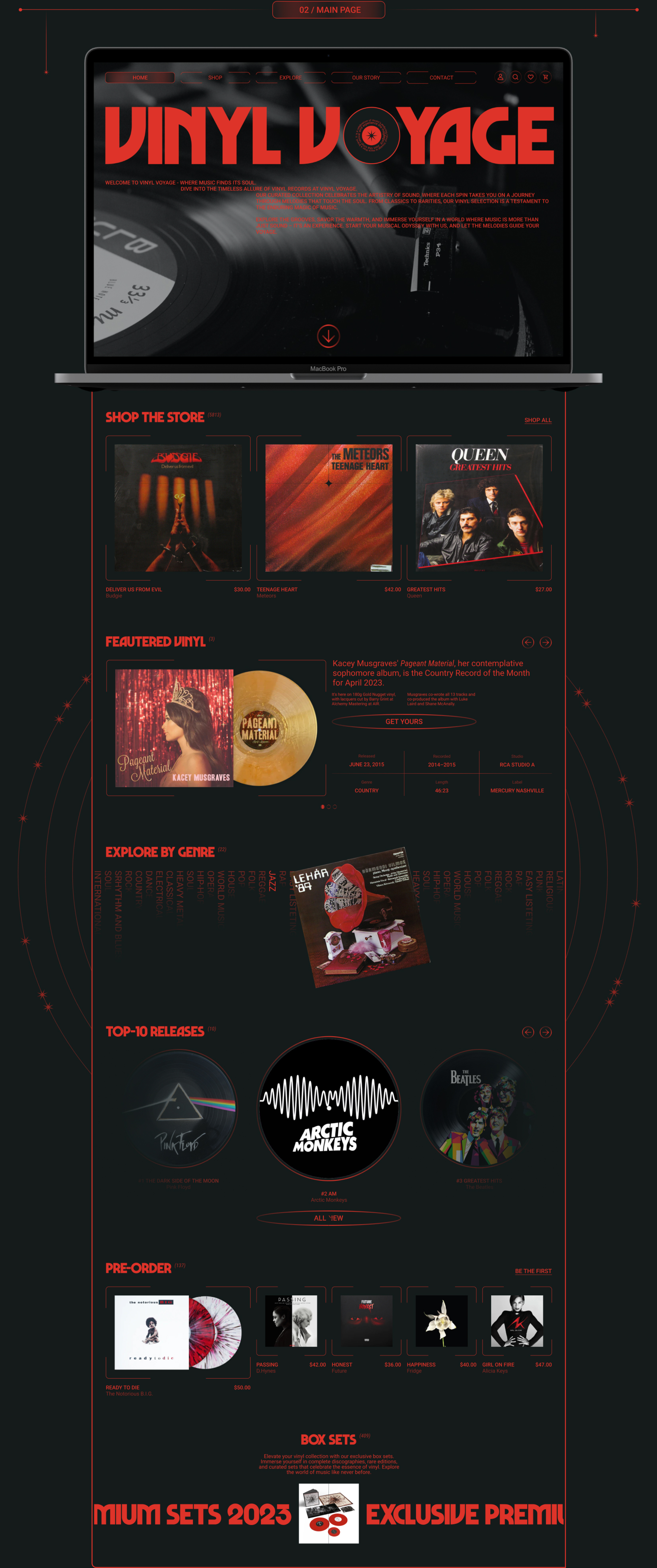 Vinyl Voyage — Изображение №3 — Интерфейсы, Брендинг на Dprofile