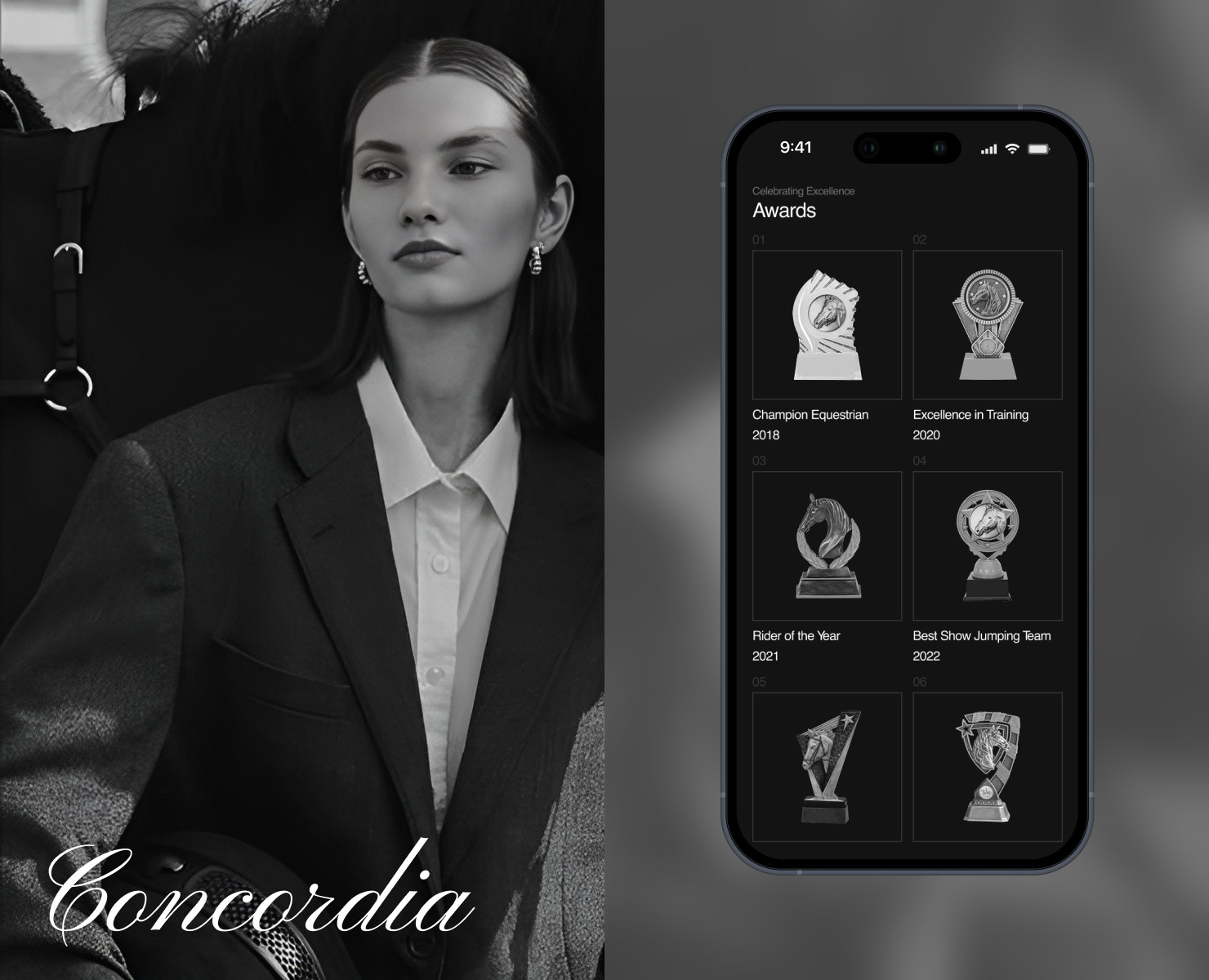 Concordia — Интерфейсы, Брендинг на Dprofile
