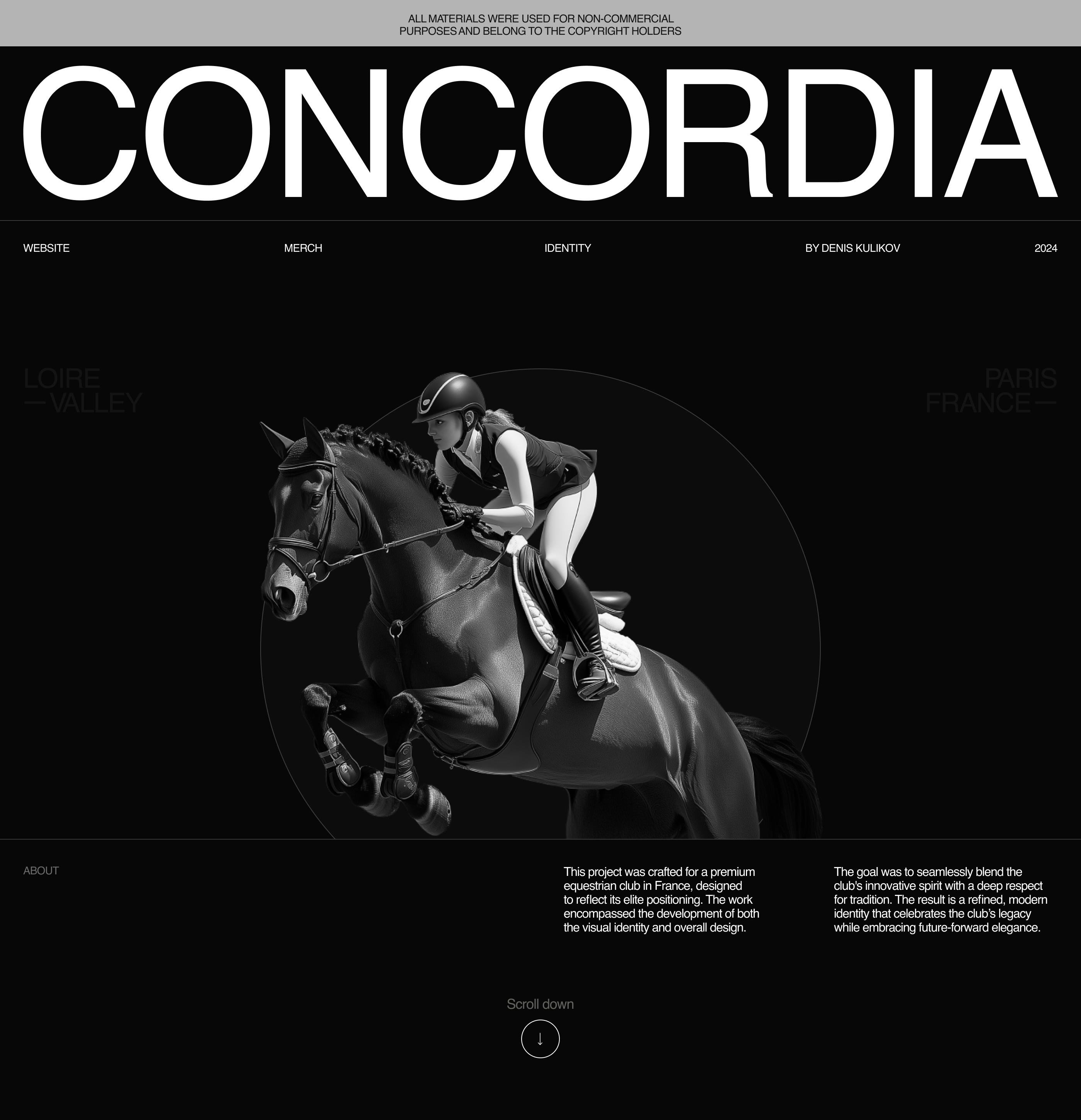 Concordia — Изображение №1 — Интерфейсы, Брендинг на Dprofile