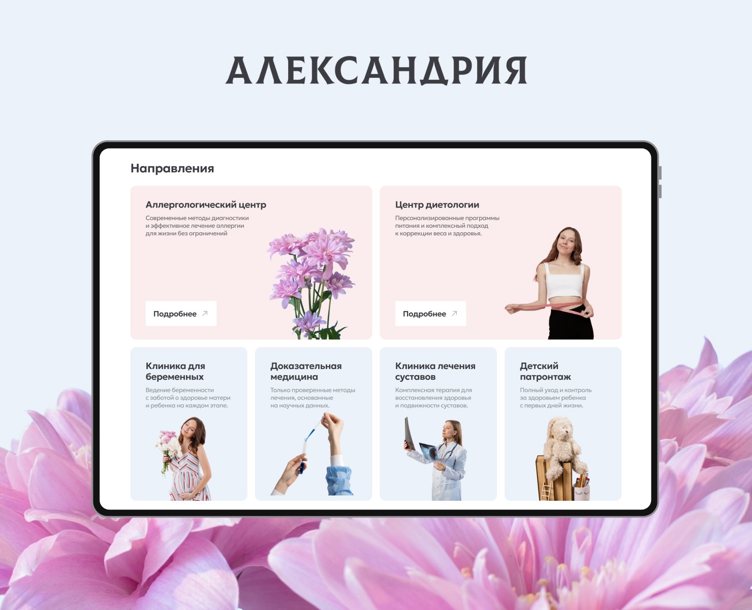Александрия — Интерфейсы на Dprofile