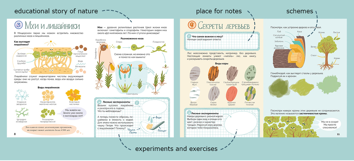 A children's workbook for exploring nature — Изображение №7 — Иллюстрация, Графика на Dprofile