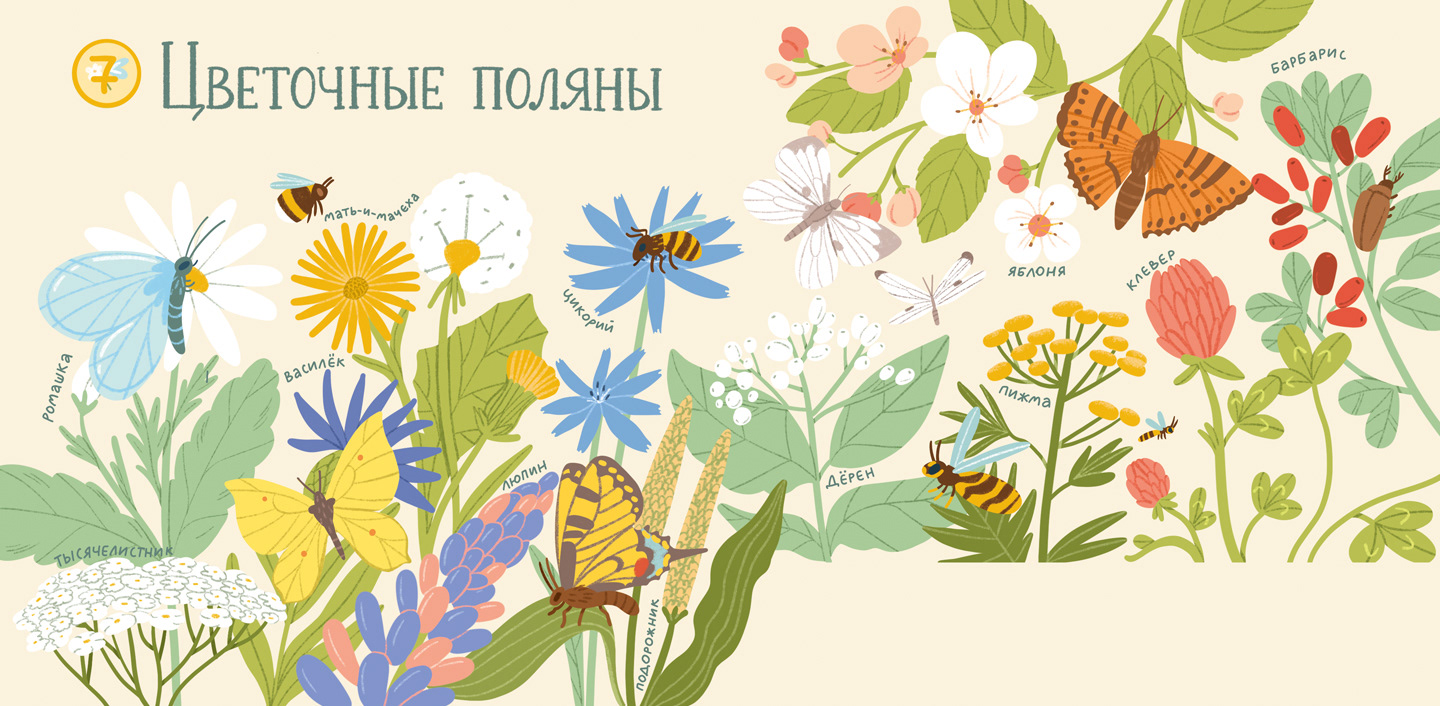 A children's workbook for exploring nature — Изображение №9 — Иллюстрация, Графика на Dprofile