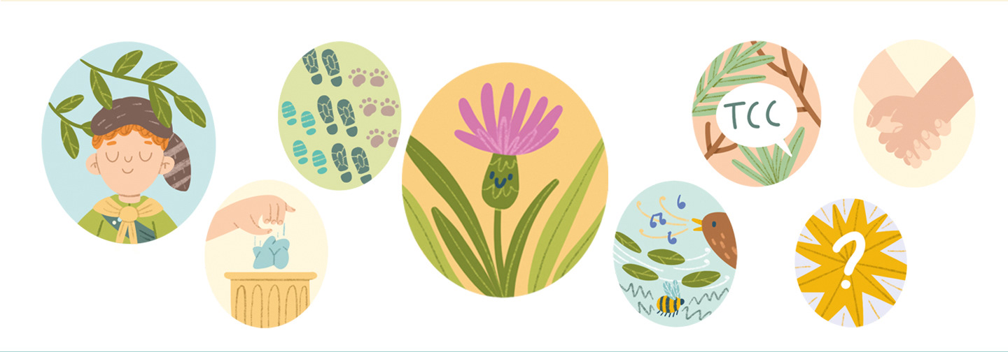A children's workbook for exploring nature — Изображение №6 — Иллюстрация, Графика на Dprofile