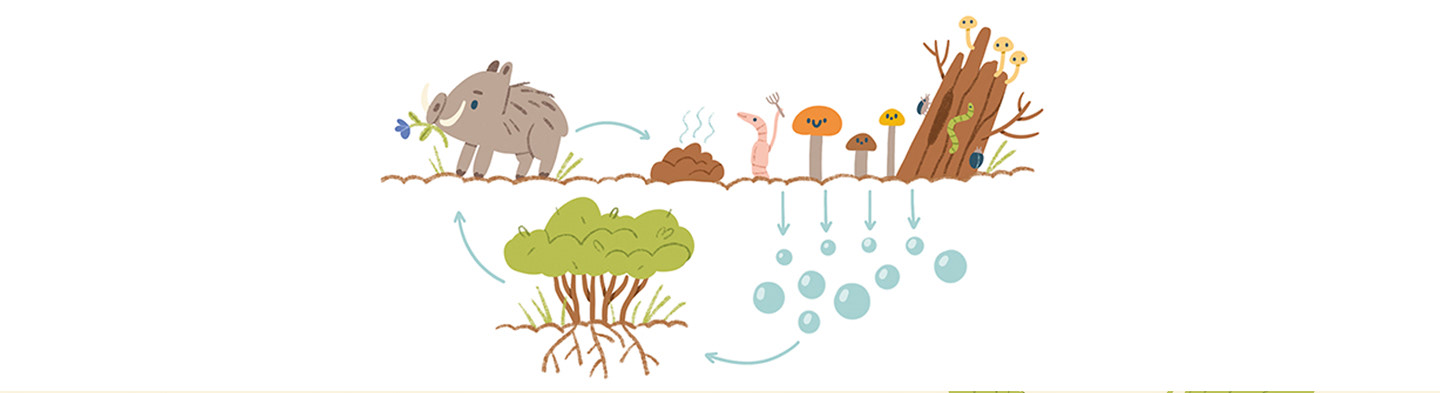 A children's workbook for exploring nature — Изображение №8 — Иллюстрация, Графика на Dprofile