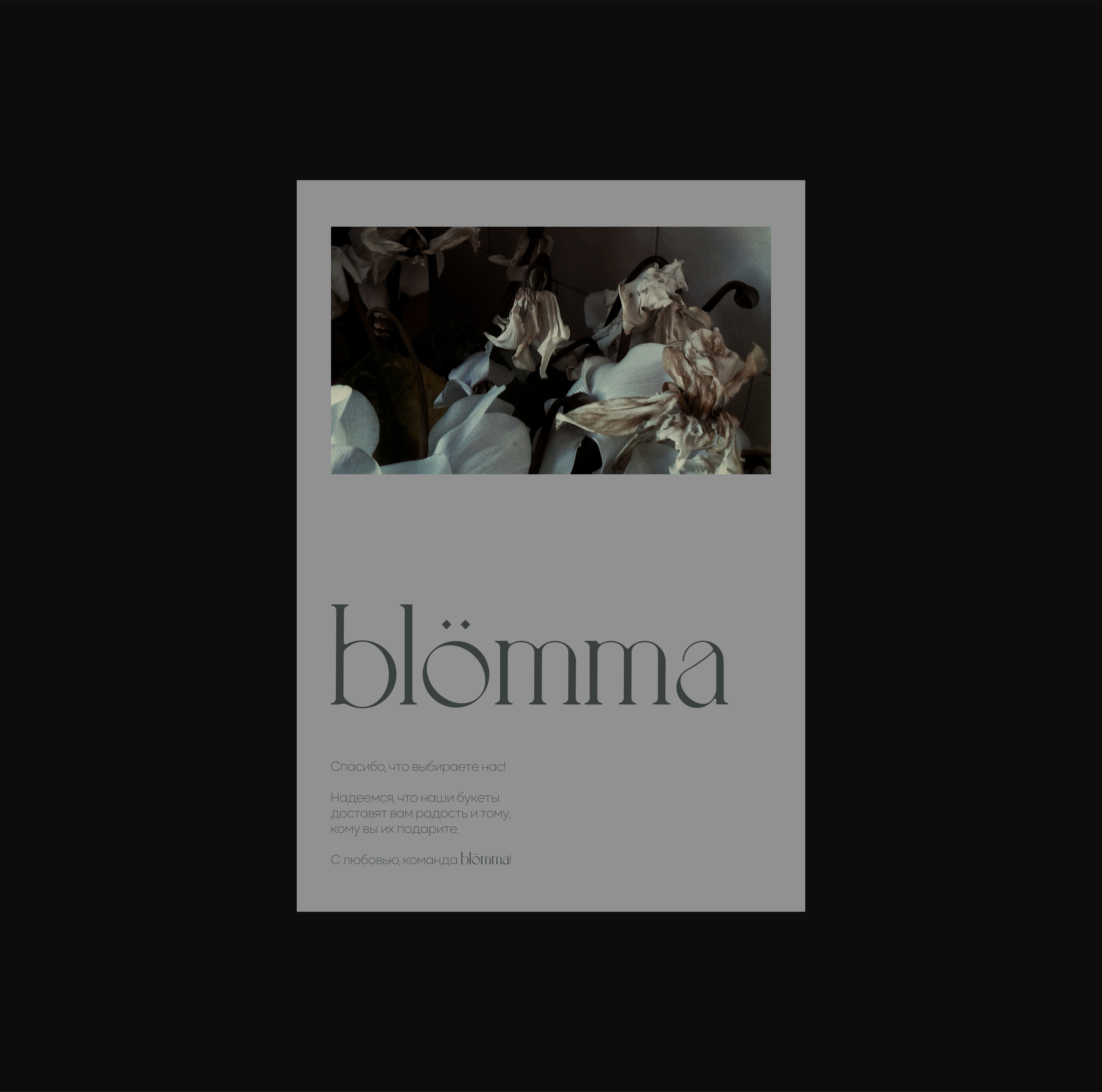 BLOMMA | flowers shop — Изображение №7 — Брендинг, Графика на Dprofile