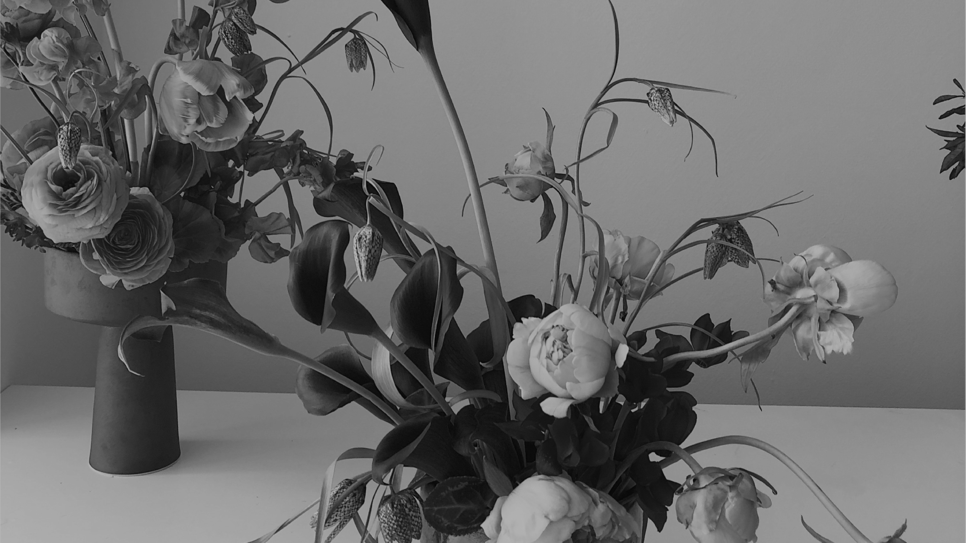 BLOMMA | flowers shop — Изображение №4 — Брендинг, Графика на Dprofile