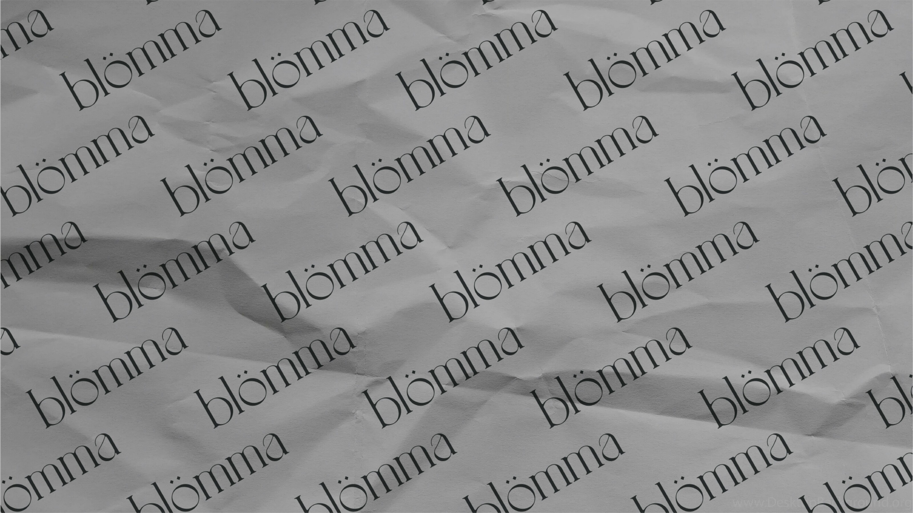 BLOMMA | flowers shop — Изображение №8 — Брендинг, Графика на Dprofile