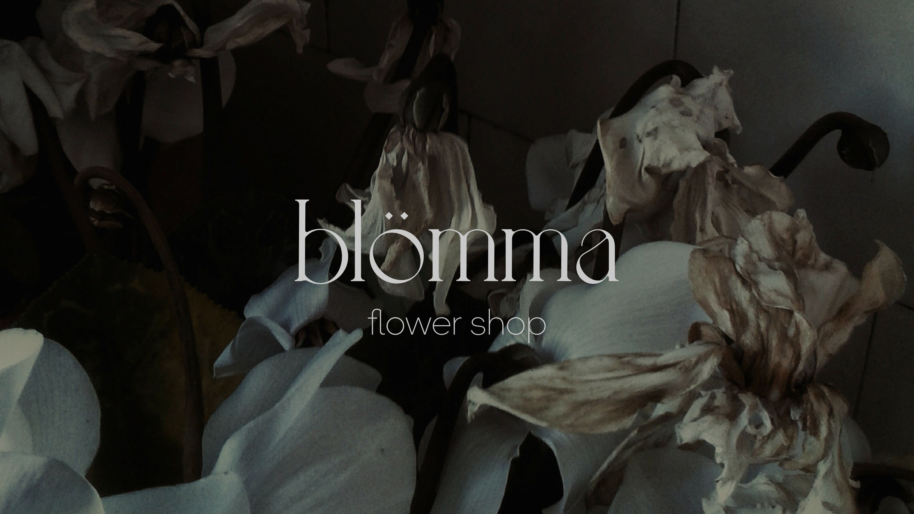 BLOMMA | flowers shop — Изображение №1 — Брендинг, Графика на Dprofile