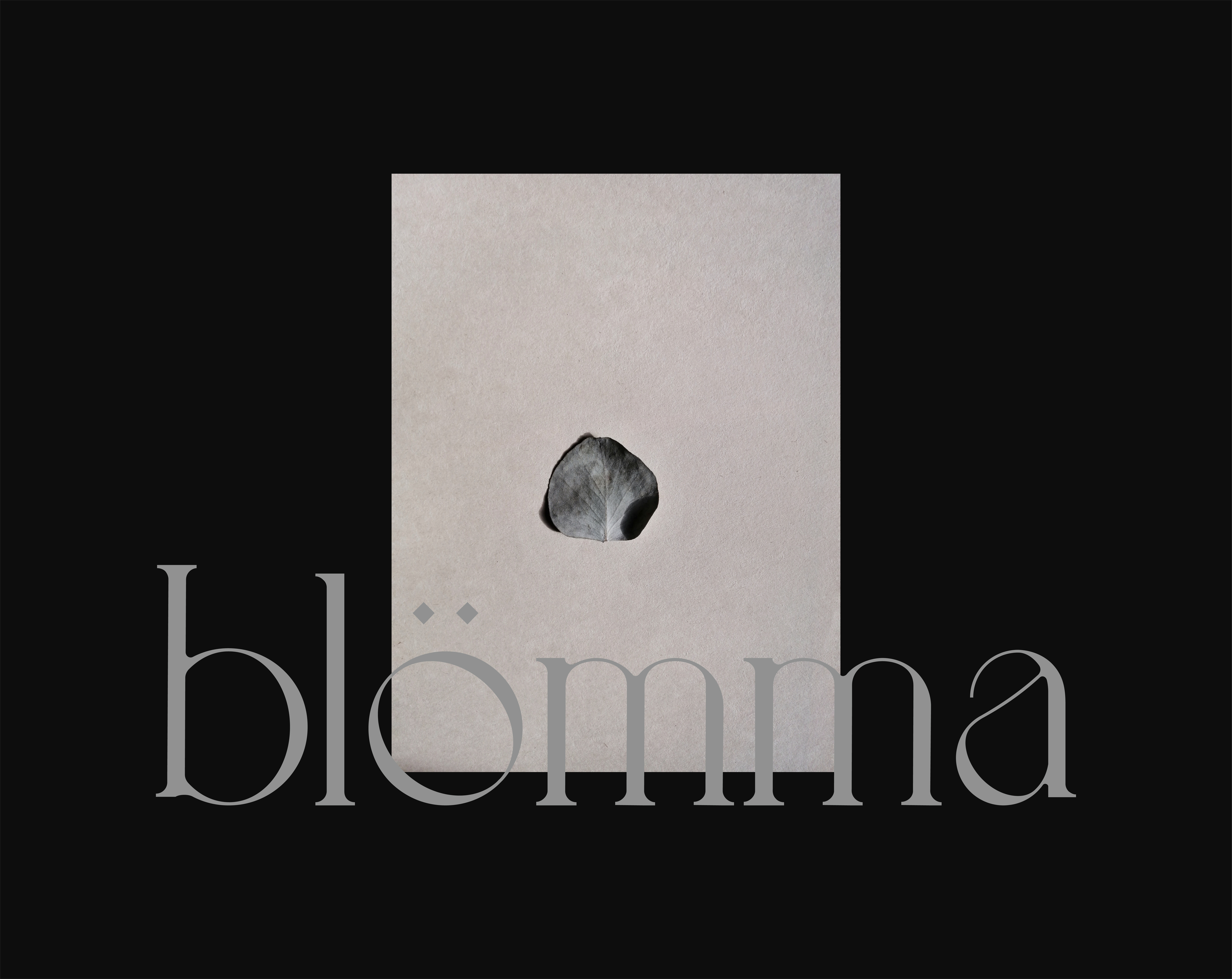 BLOMMA | flowers shop — Изображение №9 — Брендинг, Графика на Dprofile