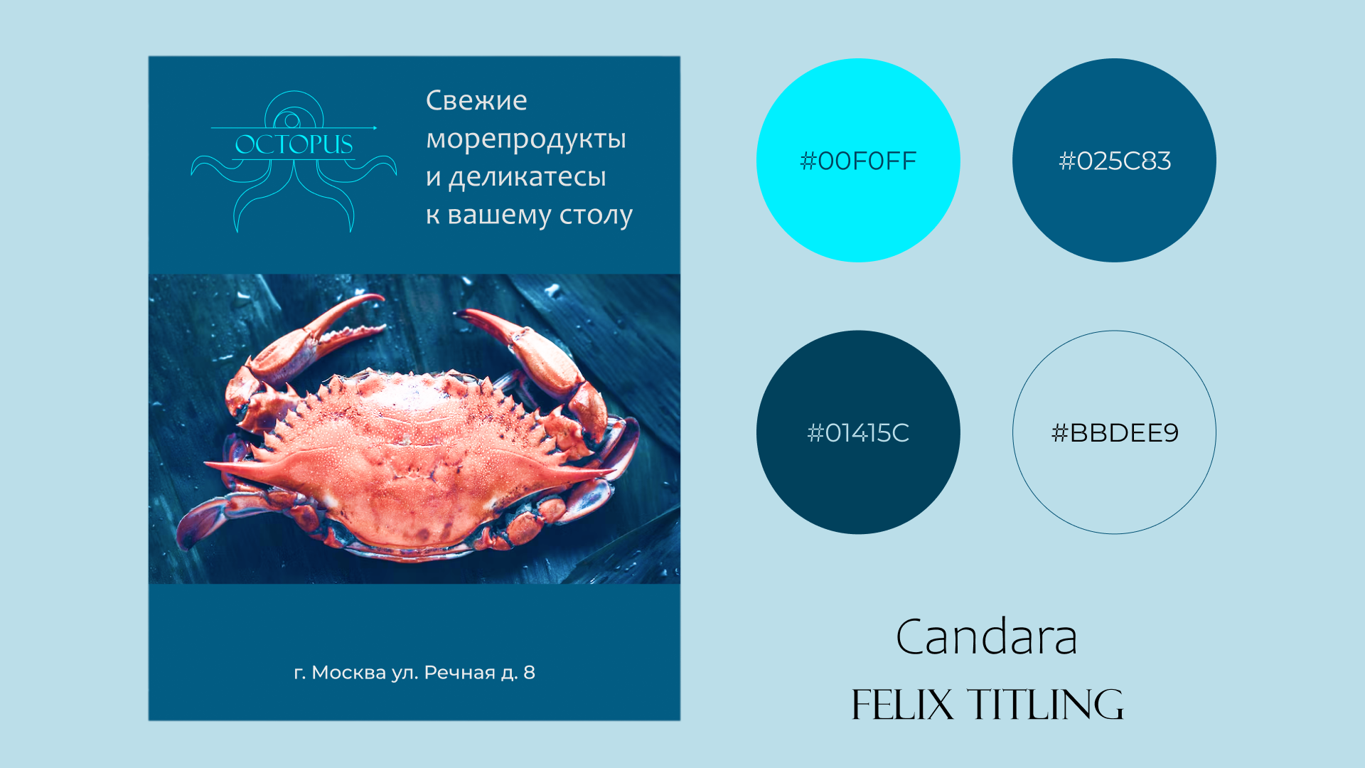Octopus. Сеть магазинов морепродуктов и деликатесов — Изображение №4 — Брендинг, Иллюстрация на Dprofile