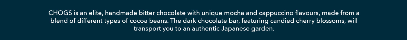 CHOGS. Chocolate buzz. Packaging design. — Изображение №15 — Иллюстрация на Dprofile