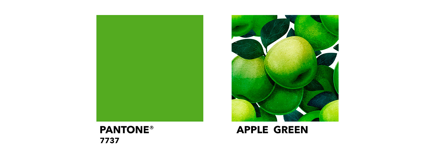 COLOR CARE. ECO paint for children. Packaging. — Изображение №4 — Иллюстрация на Dprofile