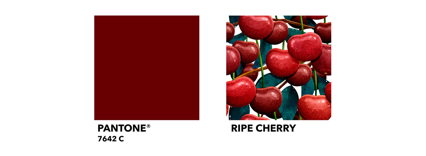 COLOR CARE. ECO paint for children. Packaging. — Изображение №14 — Иллюстрация на Dprofile