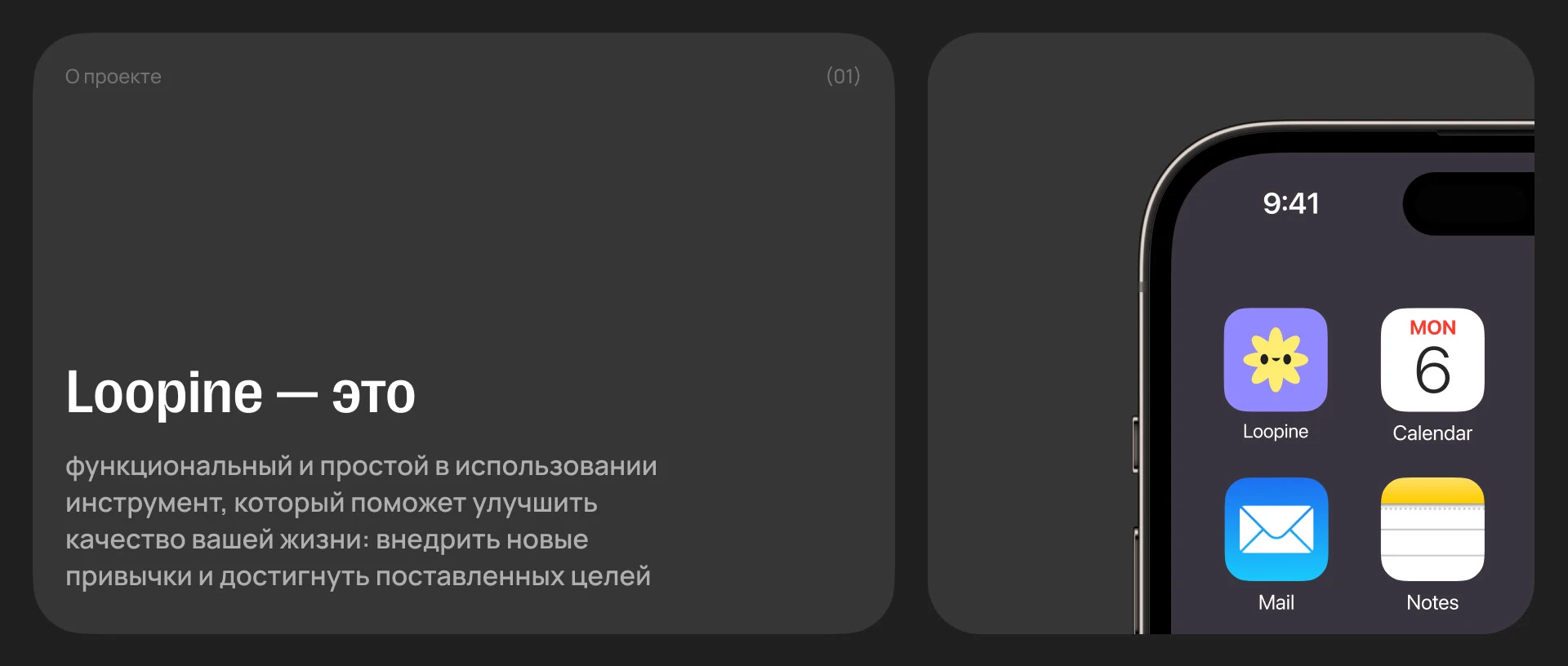 Loopine | Mobile App — Изображение №2 — Интерфейсы на Dprofile