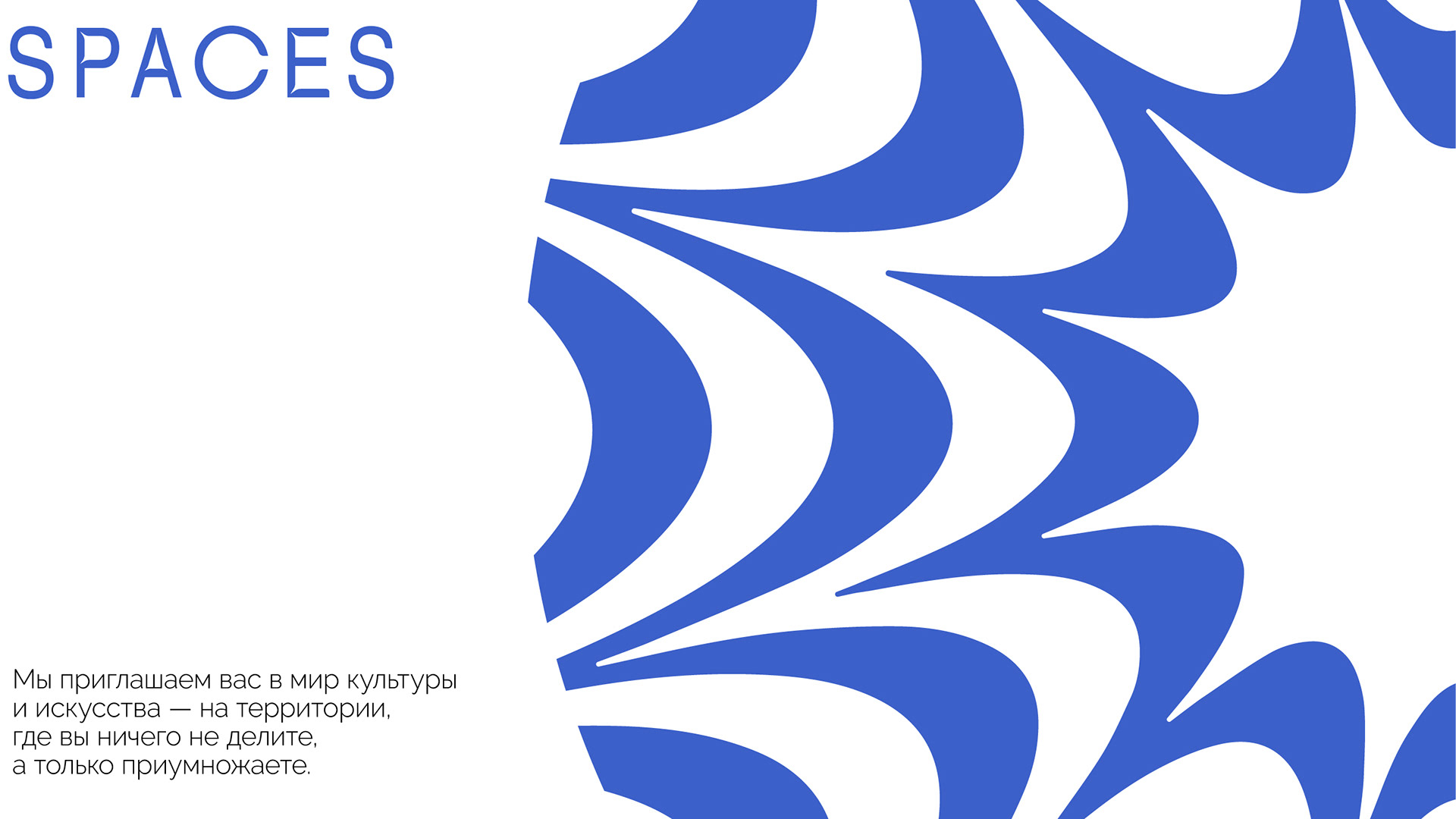 Агентство SPACES | брендинг и айдентика — Изображение №9 — Брендинг, Графика на Dprofile