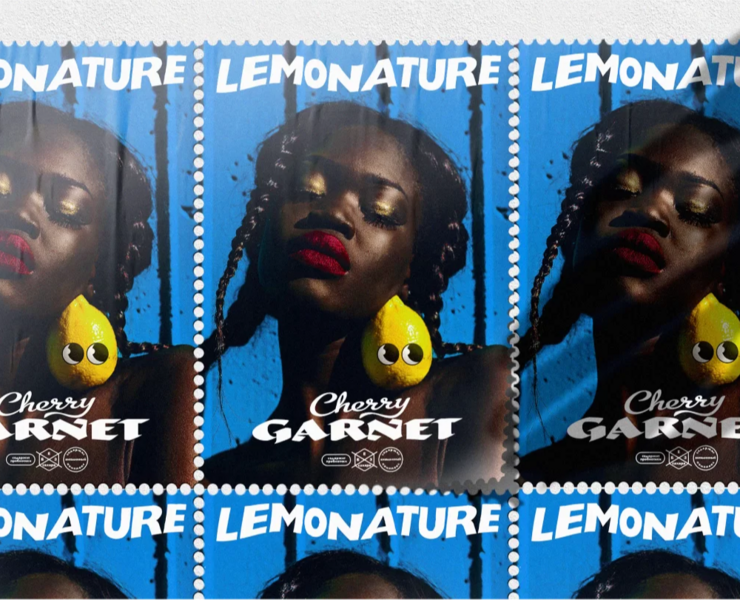 Упаковка лимонадов LEMONATURE | брендинг и айдентика — Брендинг, Графика на Dprofile