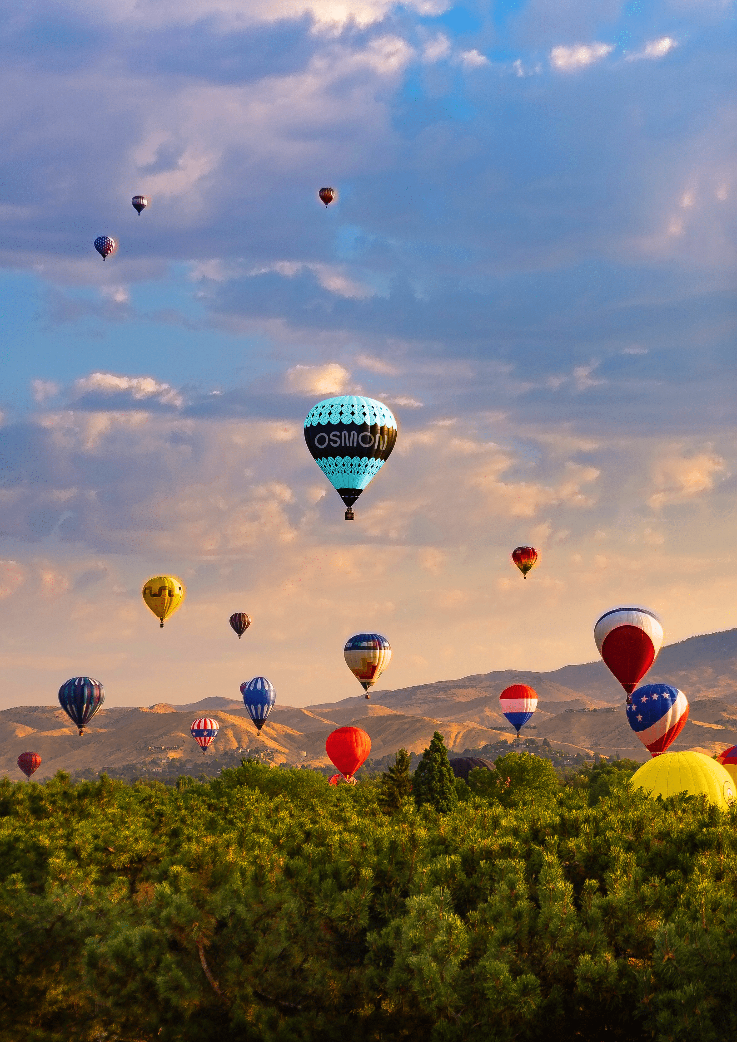 Osmon | airballoon identity — Изображение №10 — Брендинг, Иллюстрация на Dprofile